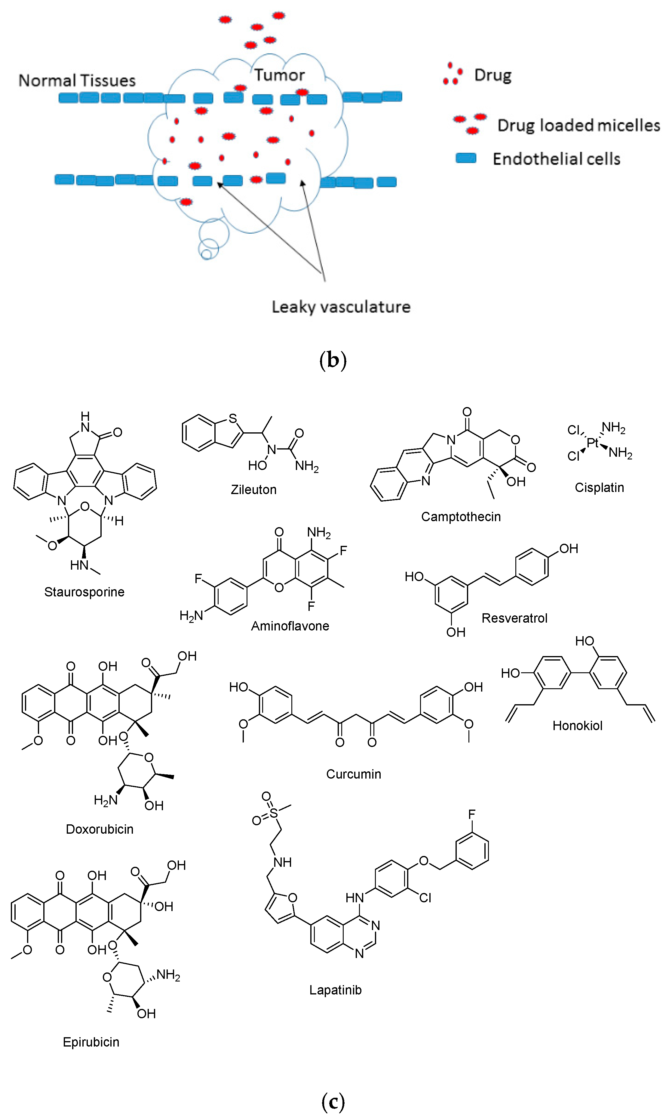 Pharmaceutics 12 01212 g003b Pharmaceutics 12 01212 g003b