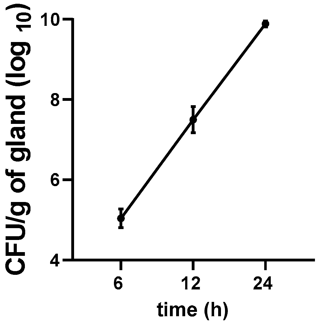 Pharmaceutics 12 01217 g004