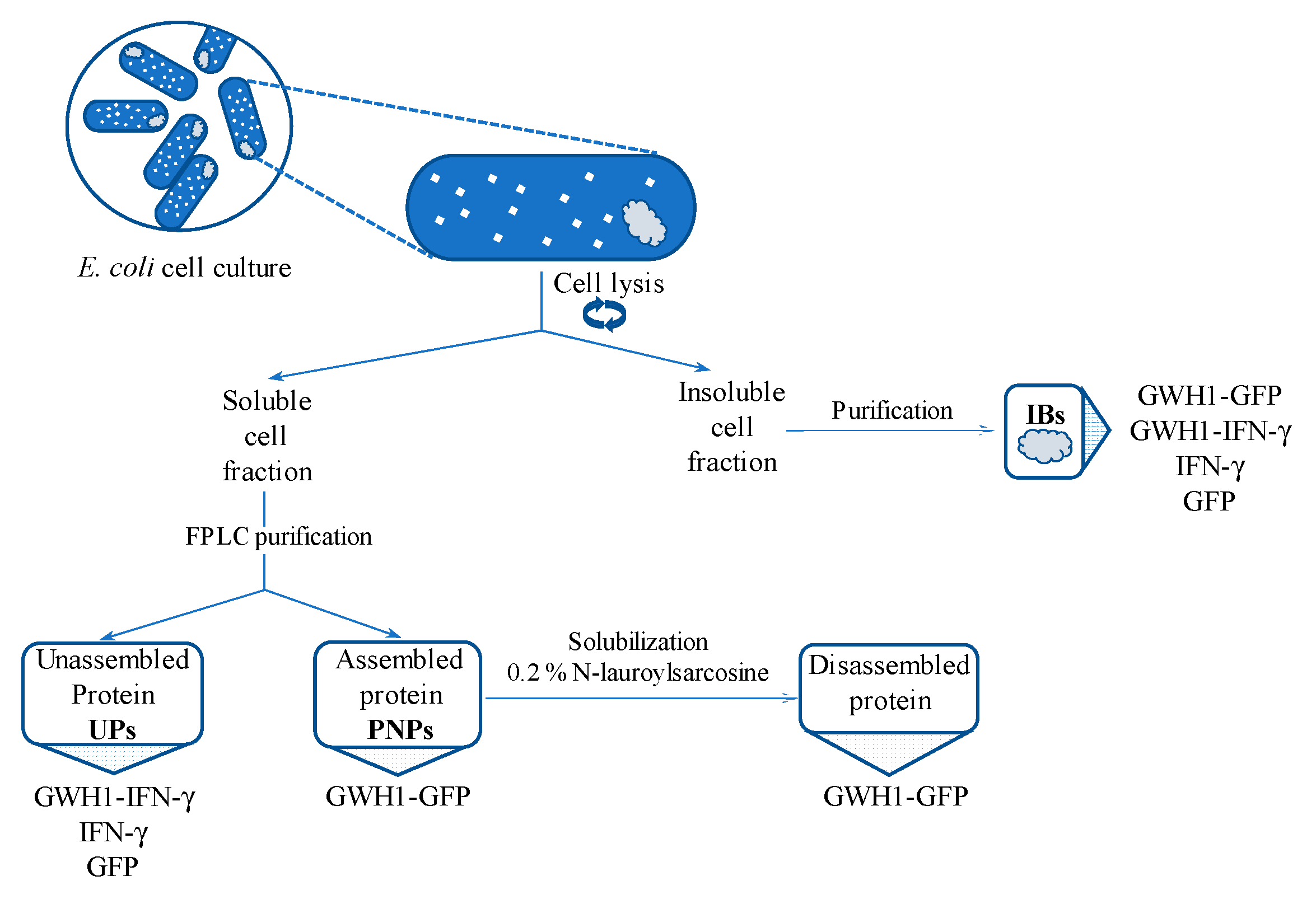 Pharmaceutics 12 01217 sch001