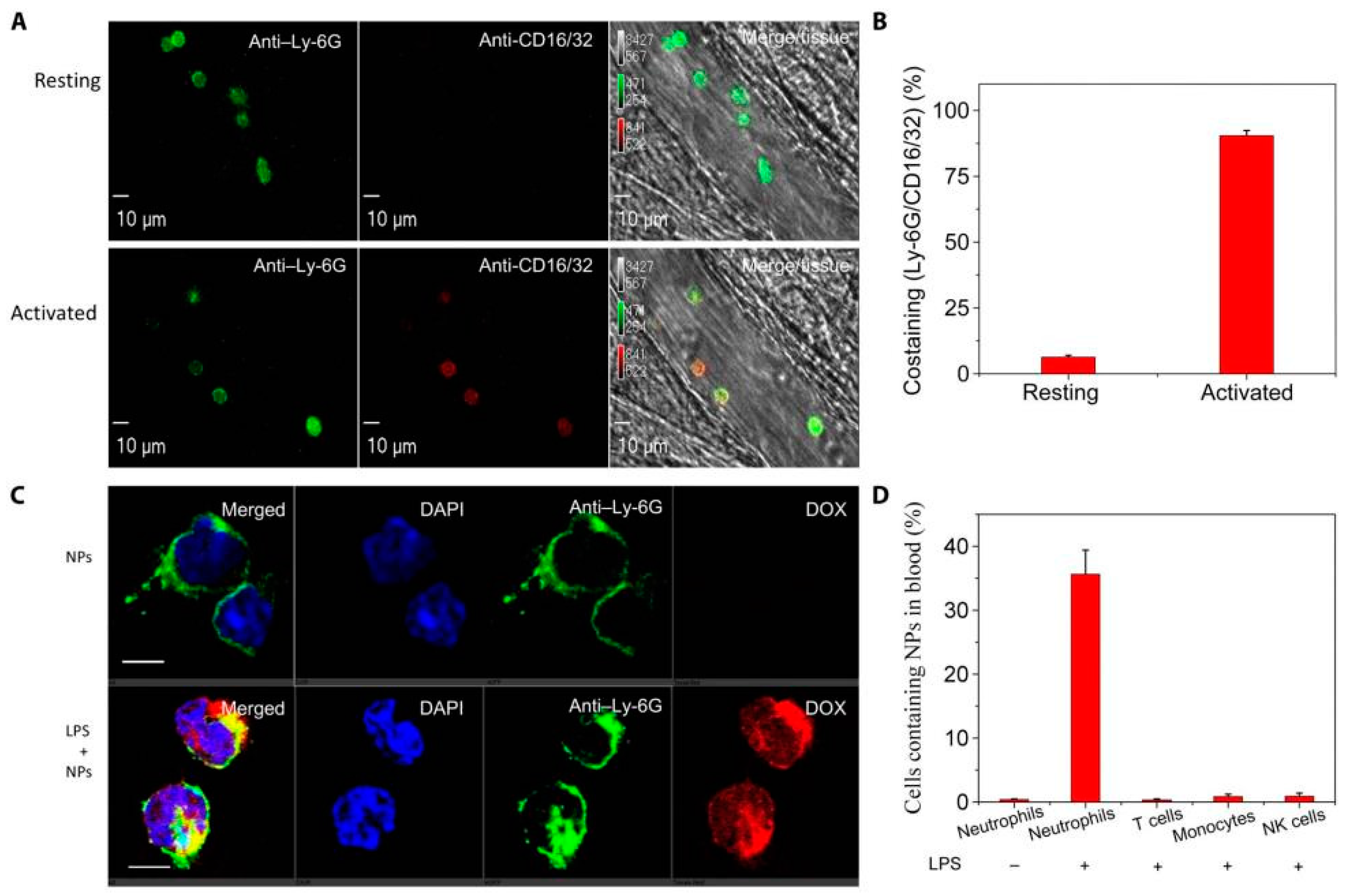 Pharmaceutics 12 01222 g002 Pharmaceutics 12 01222 g002