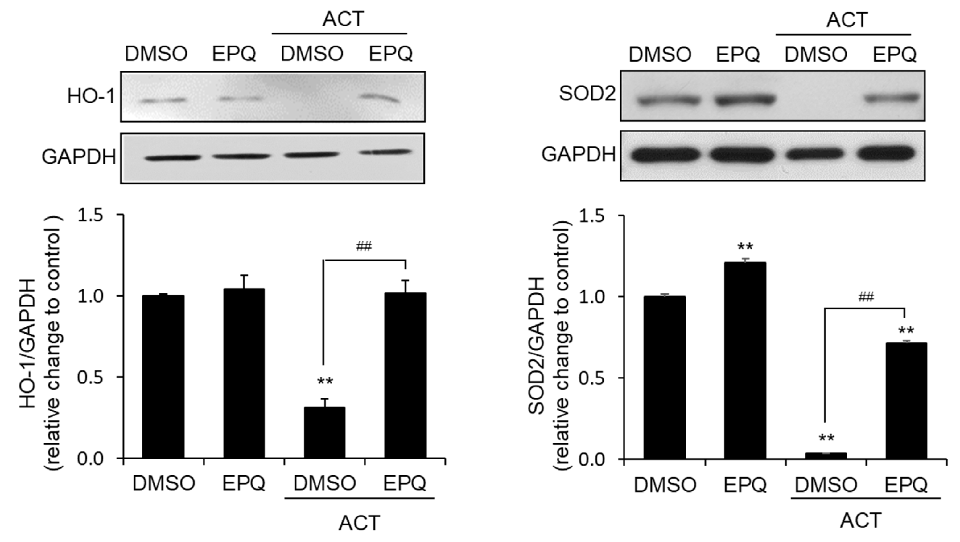 Pharmaceutics 12 01229 g004 Pharmaceutics 12 01229 g004