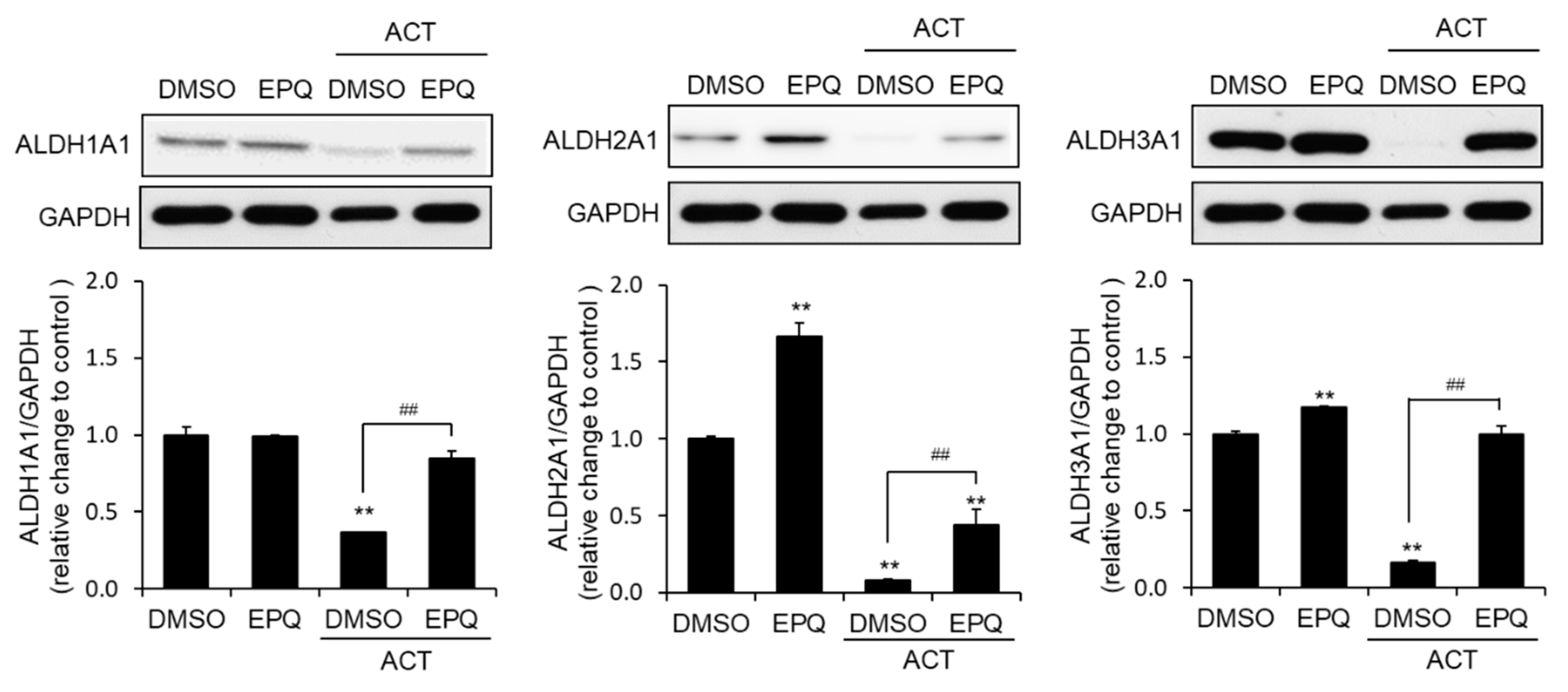 Pharmaceutics 12 01229 g005 Pharmaceutics 12 01229 g005