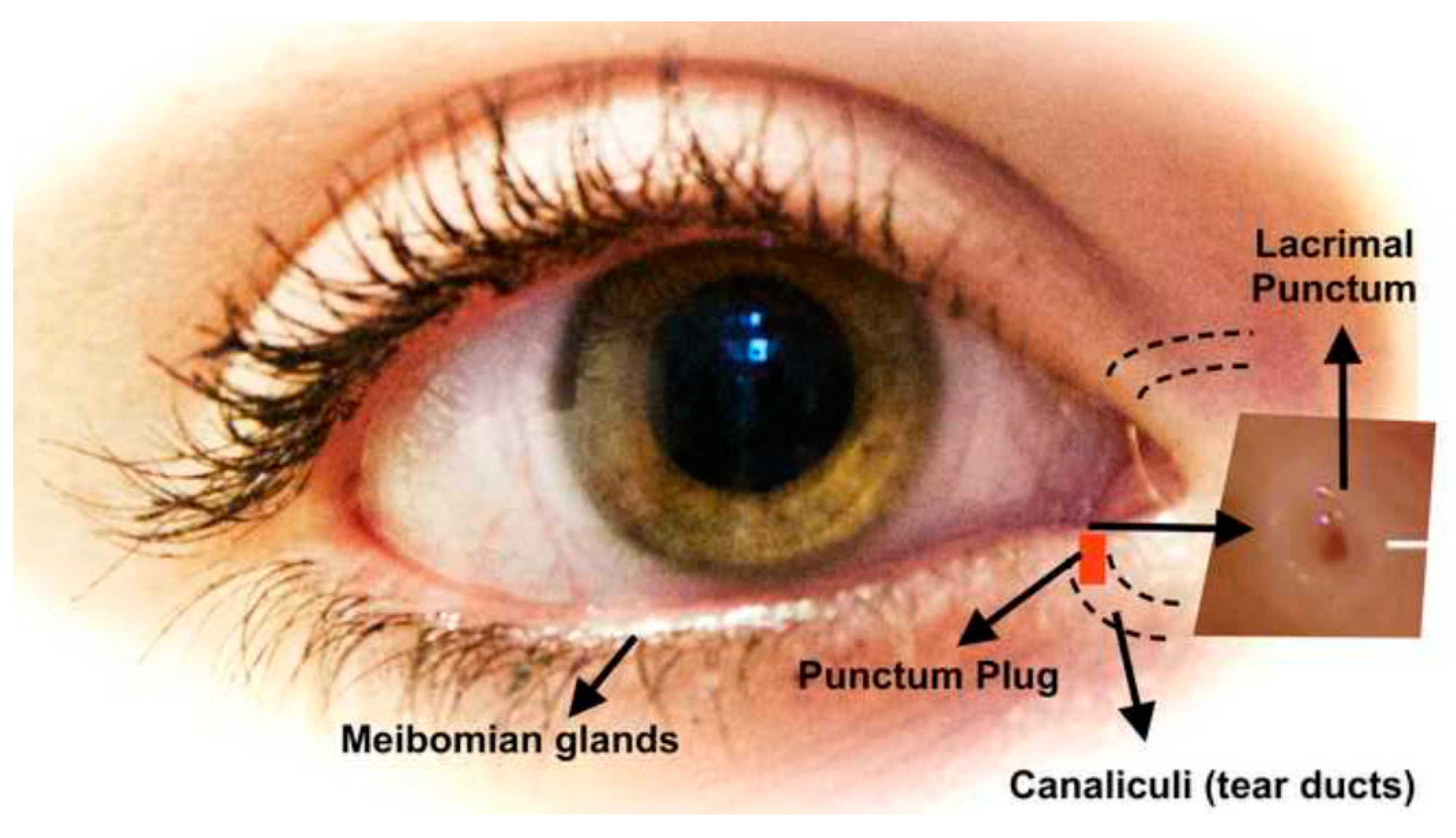 Pharmaceutics 12 01232 g003