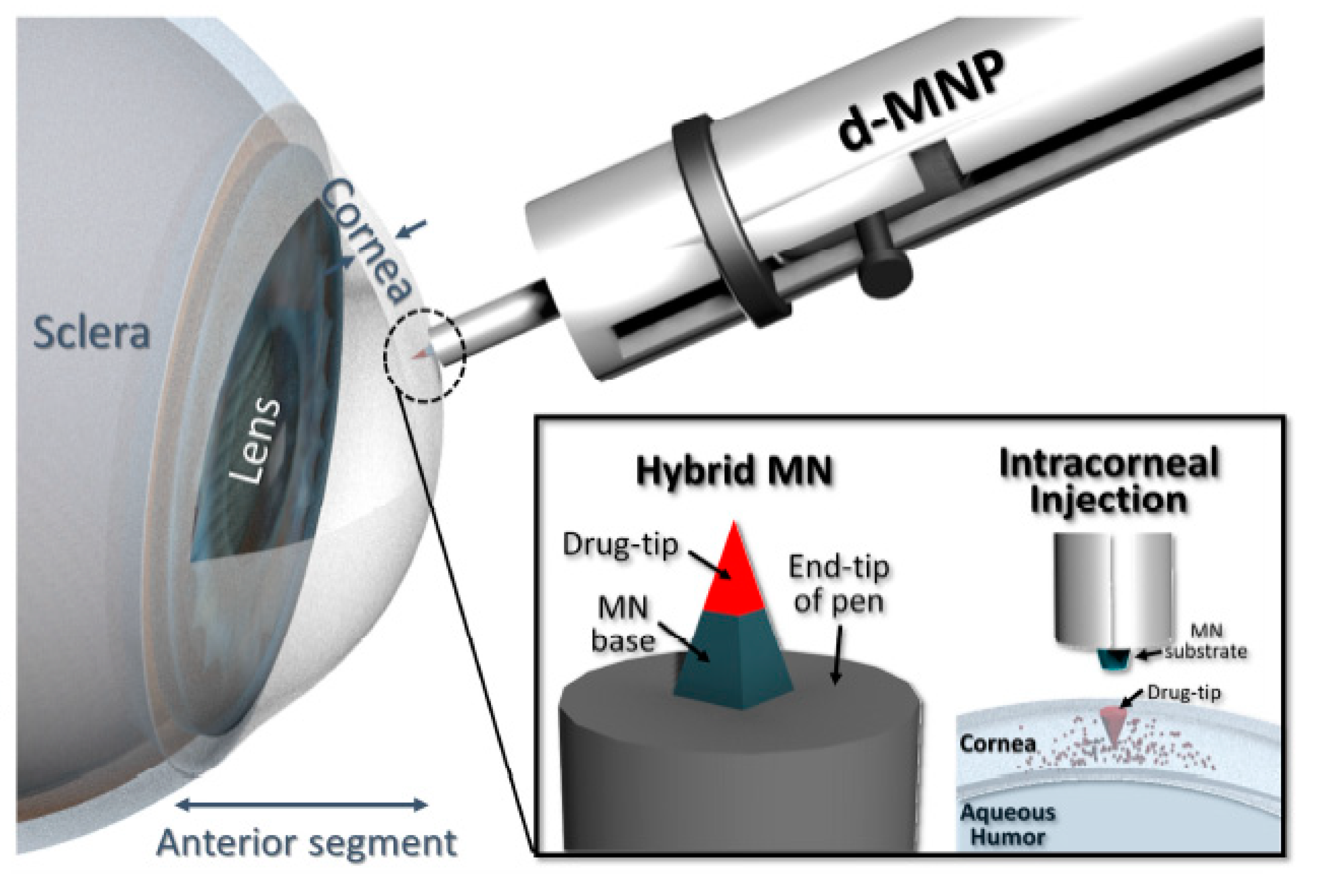 Pharmaceutics 12 01232 g005