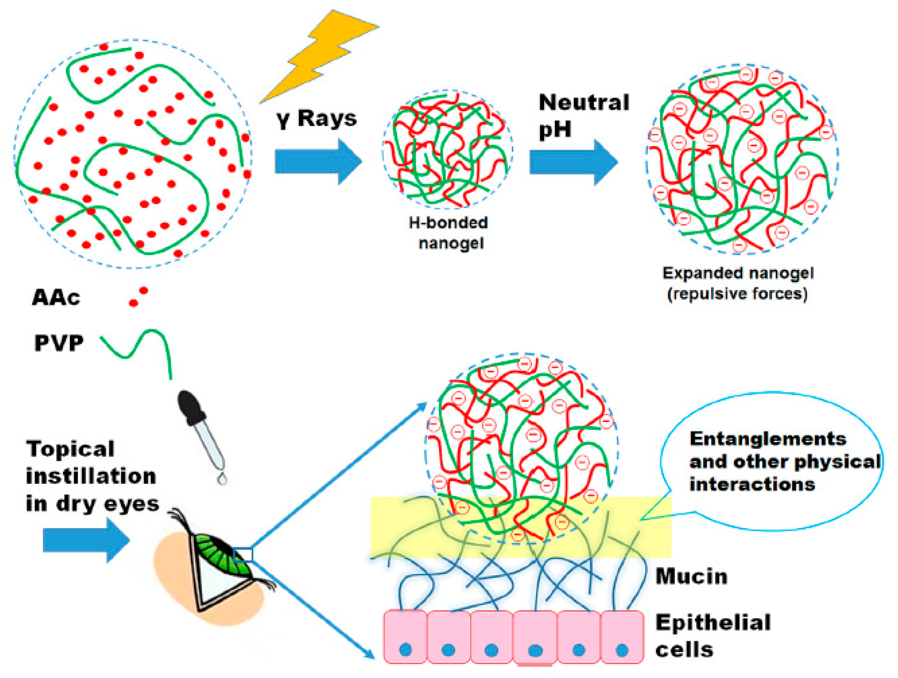 Pharmaceutics 12 01232 g008