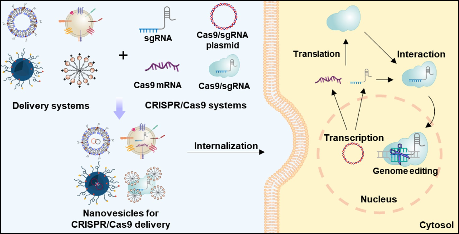 pharmaceutics-free-full-text-nanovesicle-mediated-delivery-systems