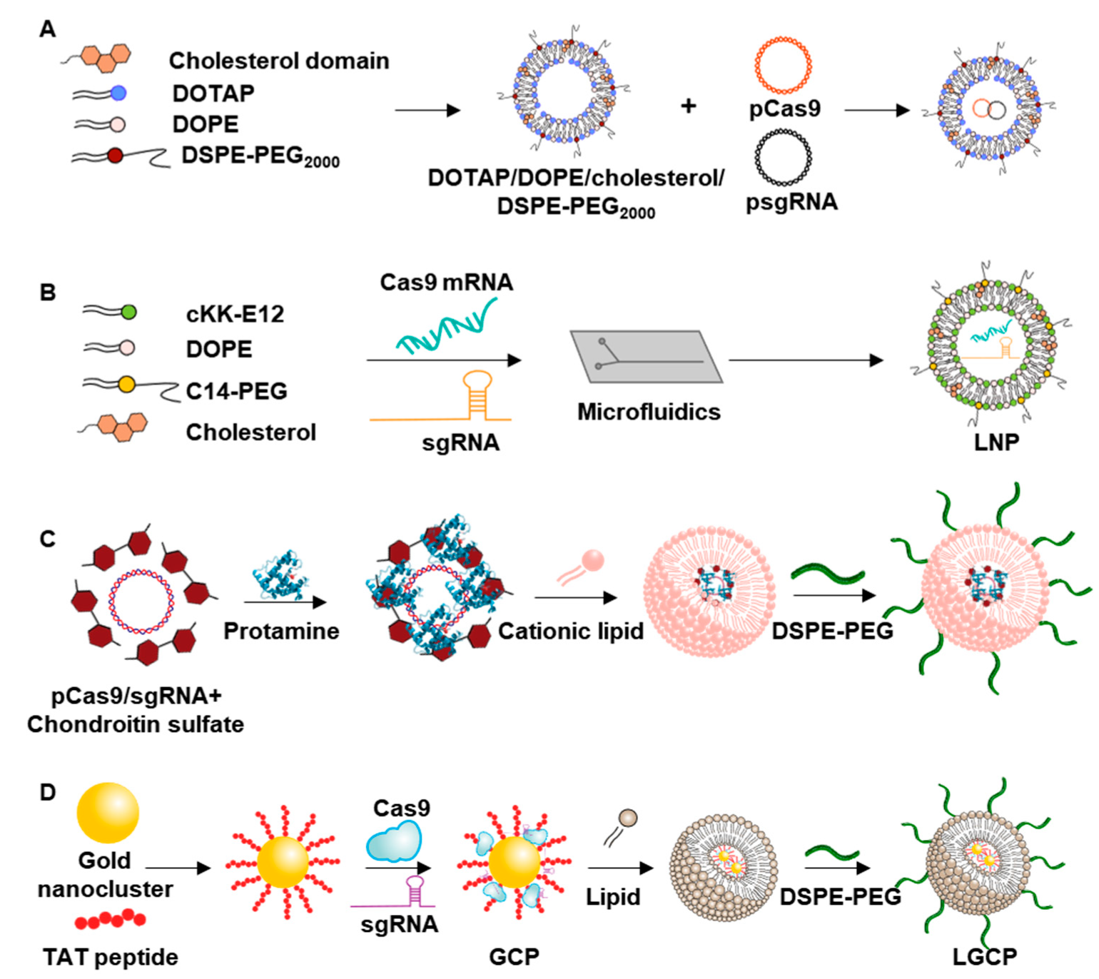 Pharmaceutics 12 01233 g002 Pharmaceutics 12 01233 g002
