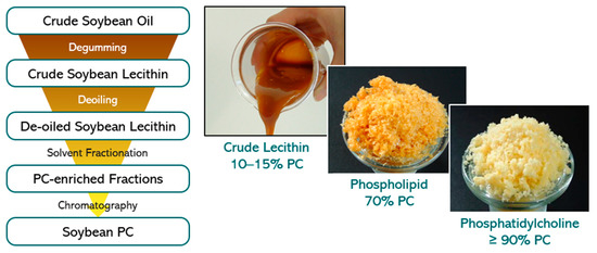 Pharmaceutics 12 01235 g003 550