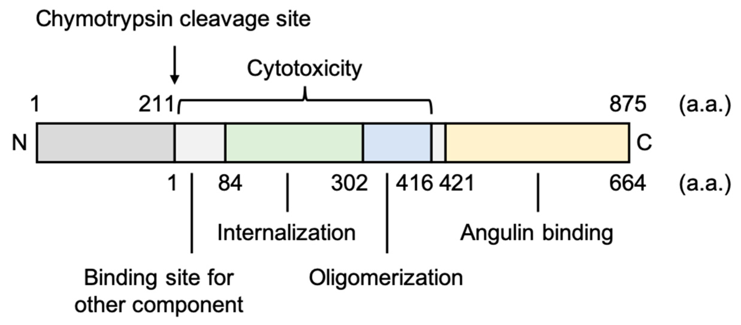 Pharmaceutics 12 01236 g005 Pharmaceutics 12 01236 g005