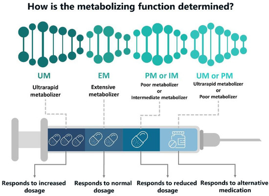 Pharmaceutics Free Full Text Pharmacogenetic Testing: A Tool for Pharmaceutics Free Full Text Pharmacogenetic Testing: A Tool for