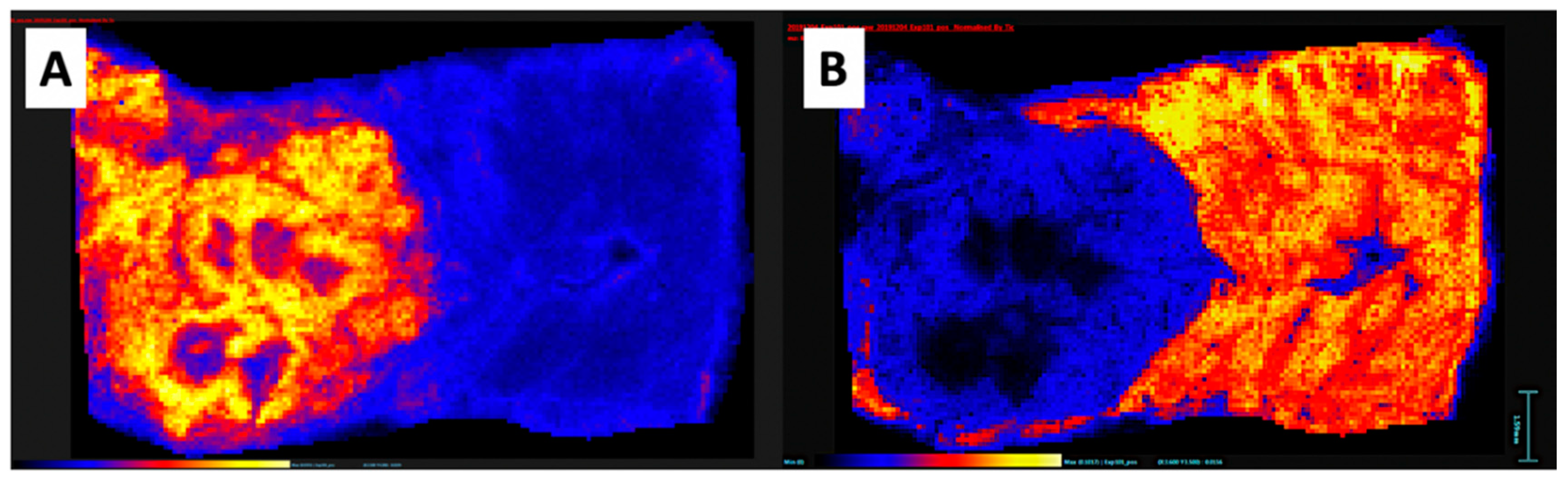 Pharmaceutics 12 01243 g007 Pharmaceutics 12 01243 g007
