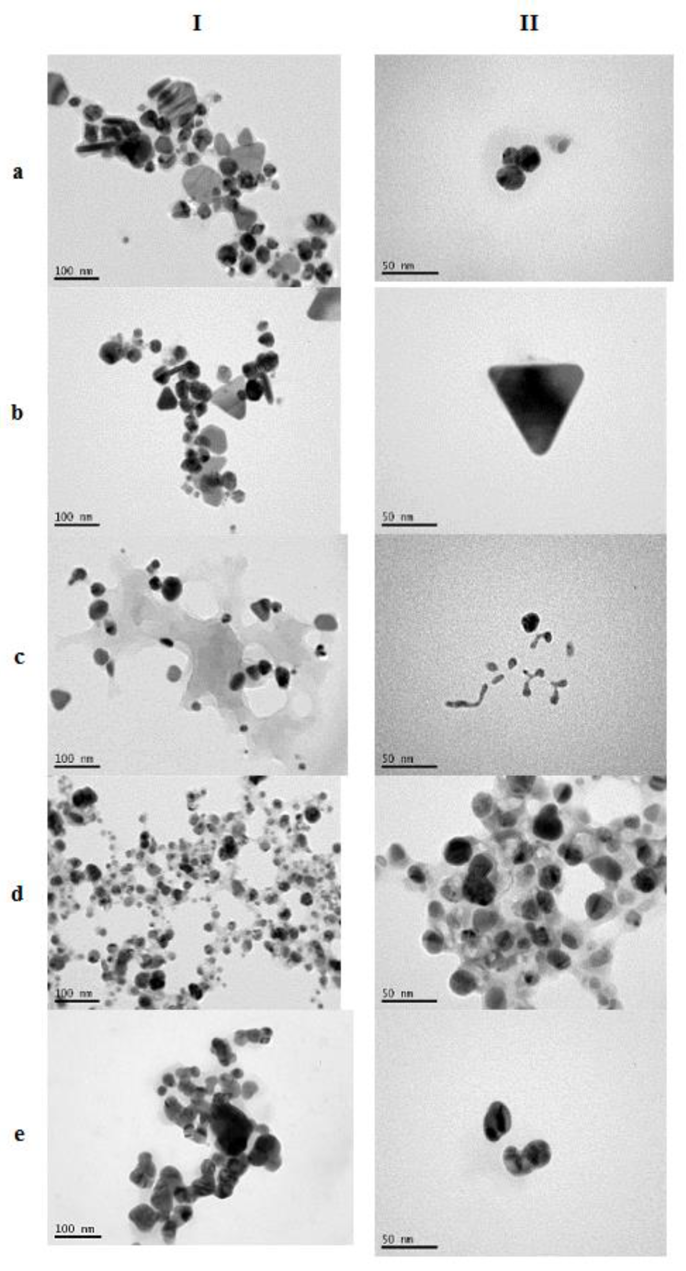 Pharmaceutics 12 01244 g001