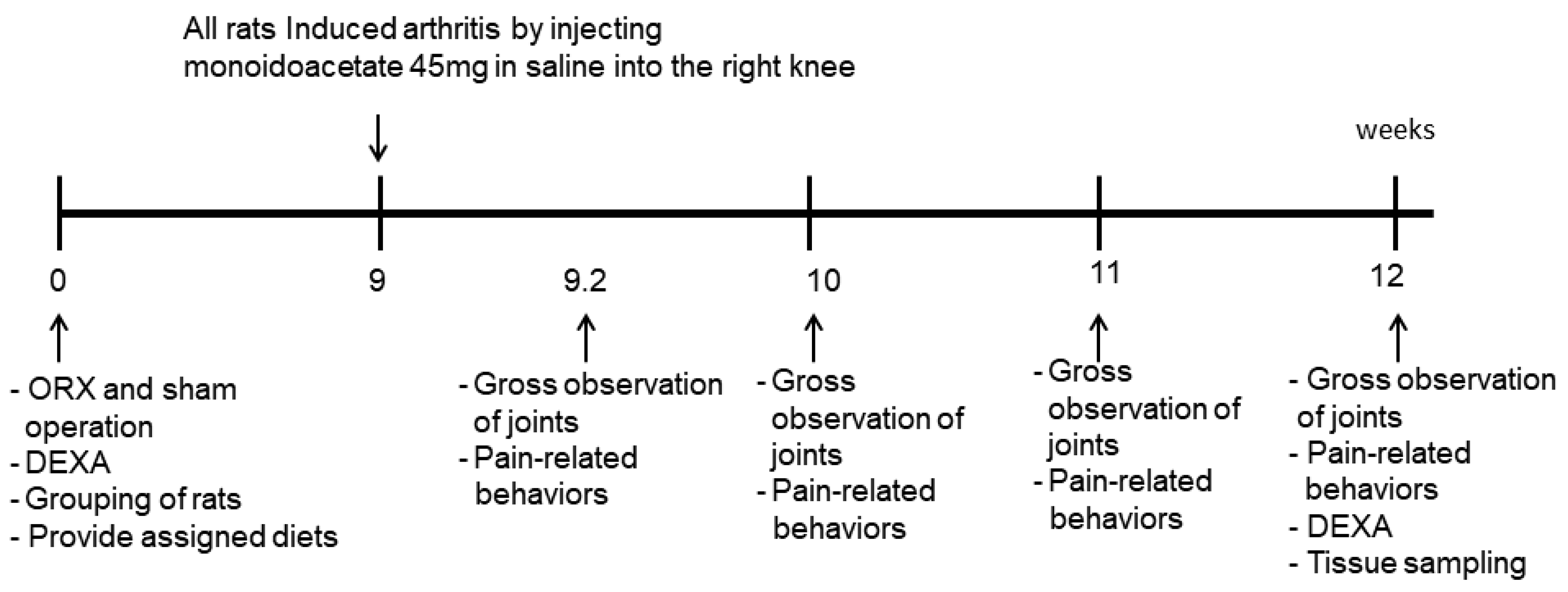 Pharmaceutics 12 01245 g001