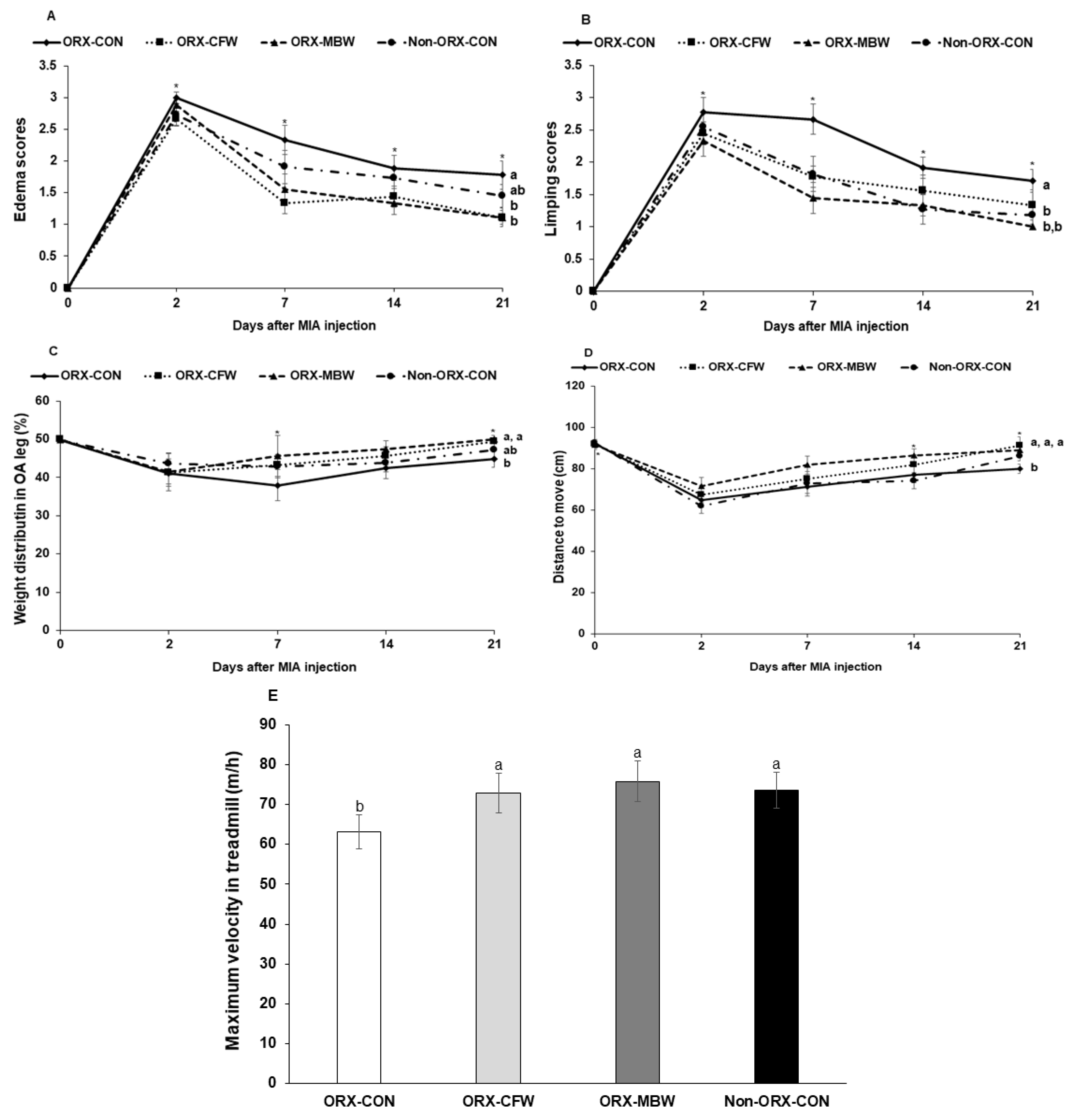 Pharmaceutics 12 01245 g002
