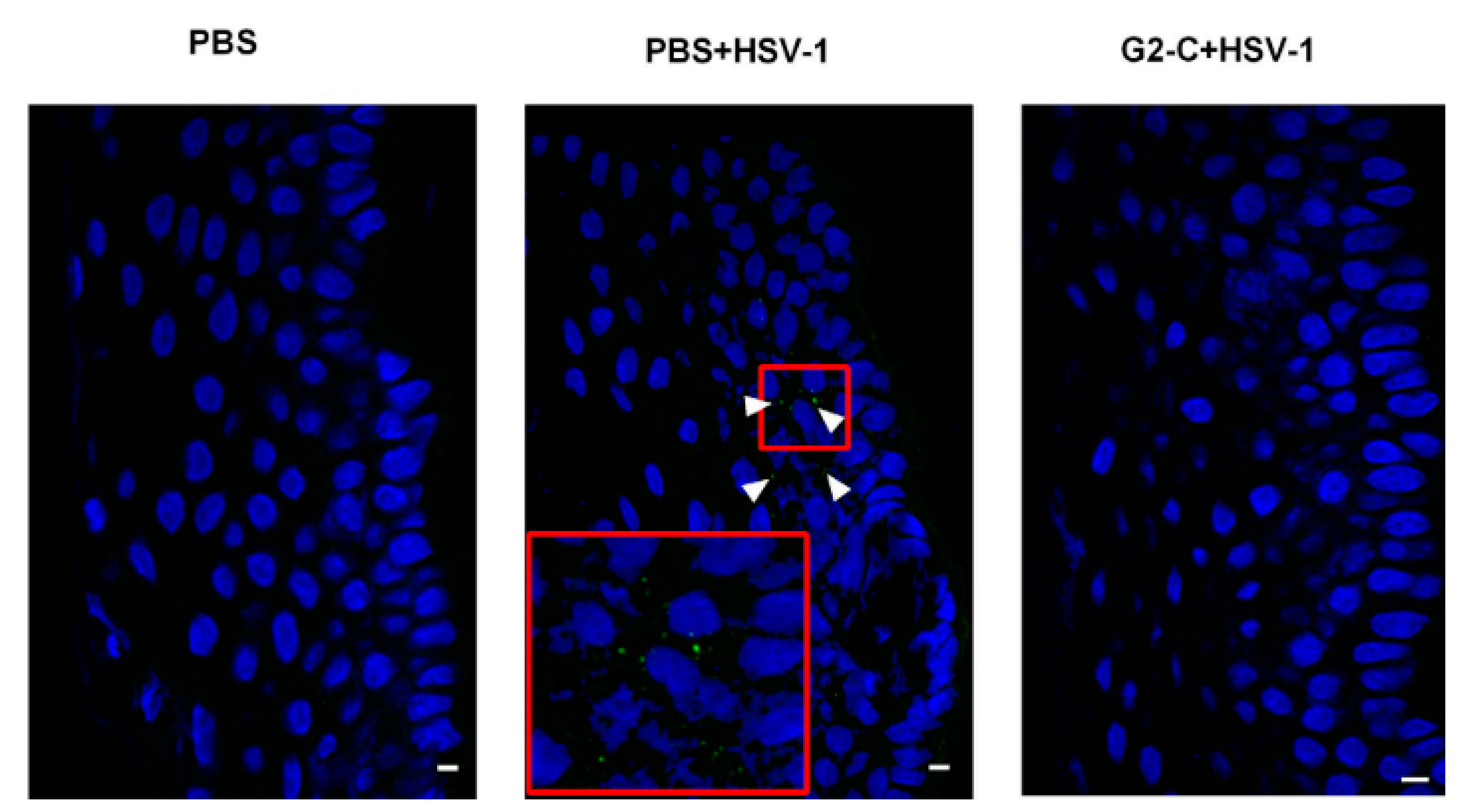 Pharmaceutics 13 00001 g005 Pharmaceutics 13 00001 g005