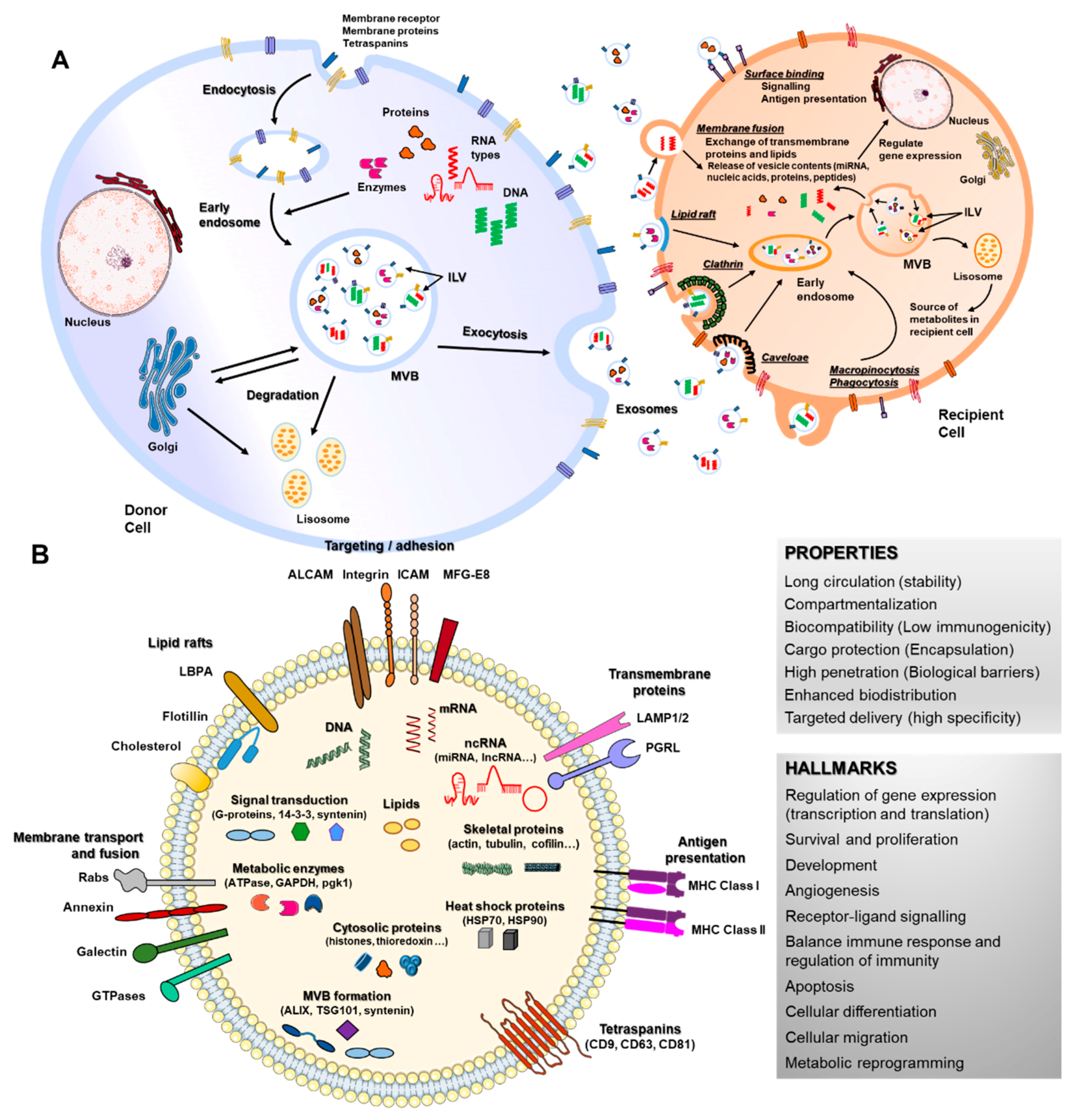 Pharmaceutics 13 00003 g001 Pharmaceutics 13 00003 g001