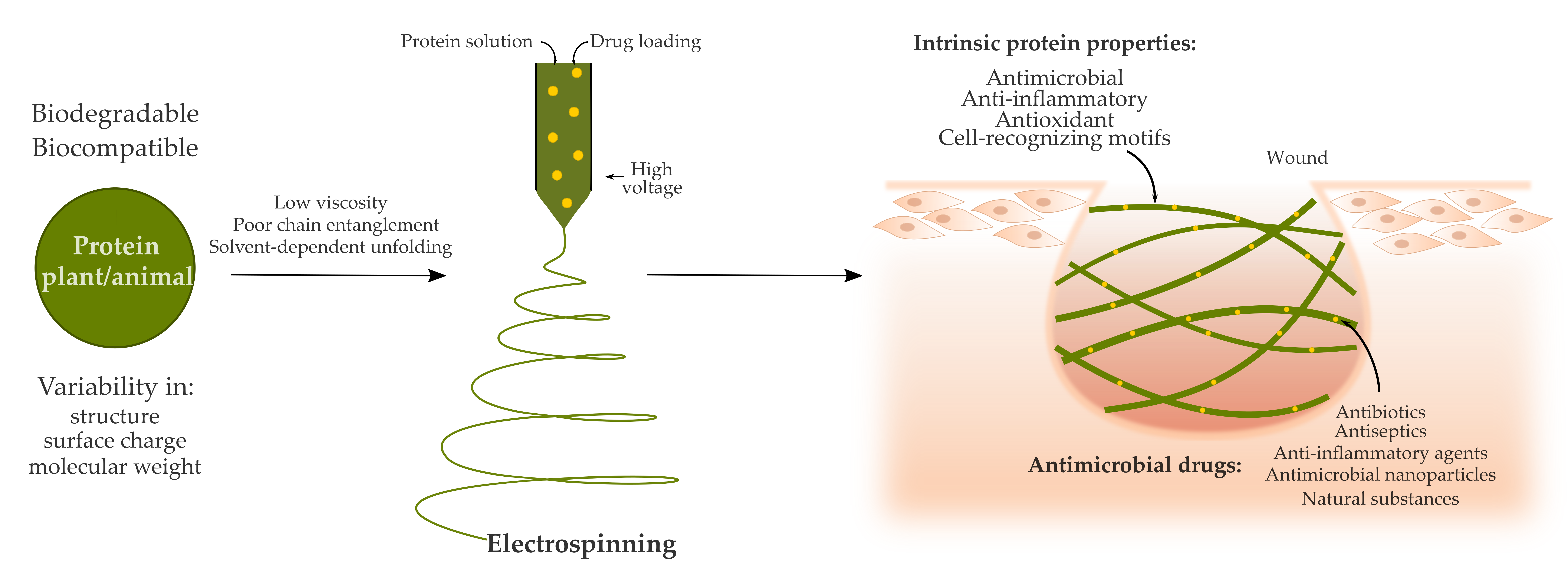 Pharmaceutics Free FullText Electrospinning Proteins for Wound