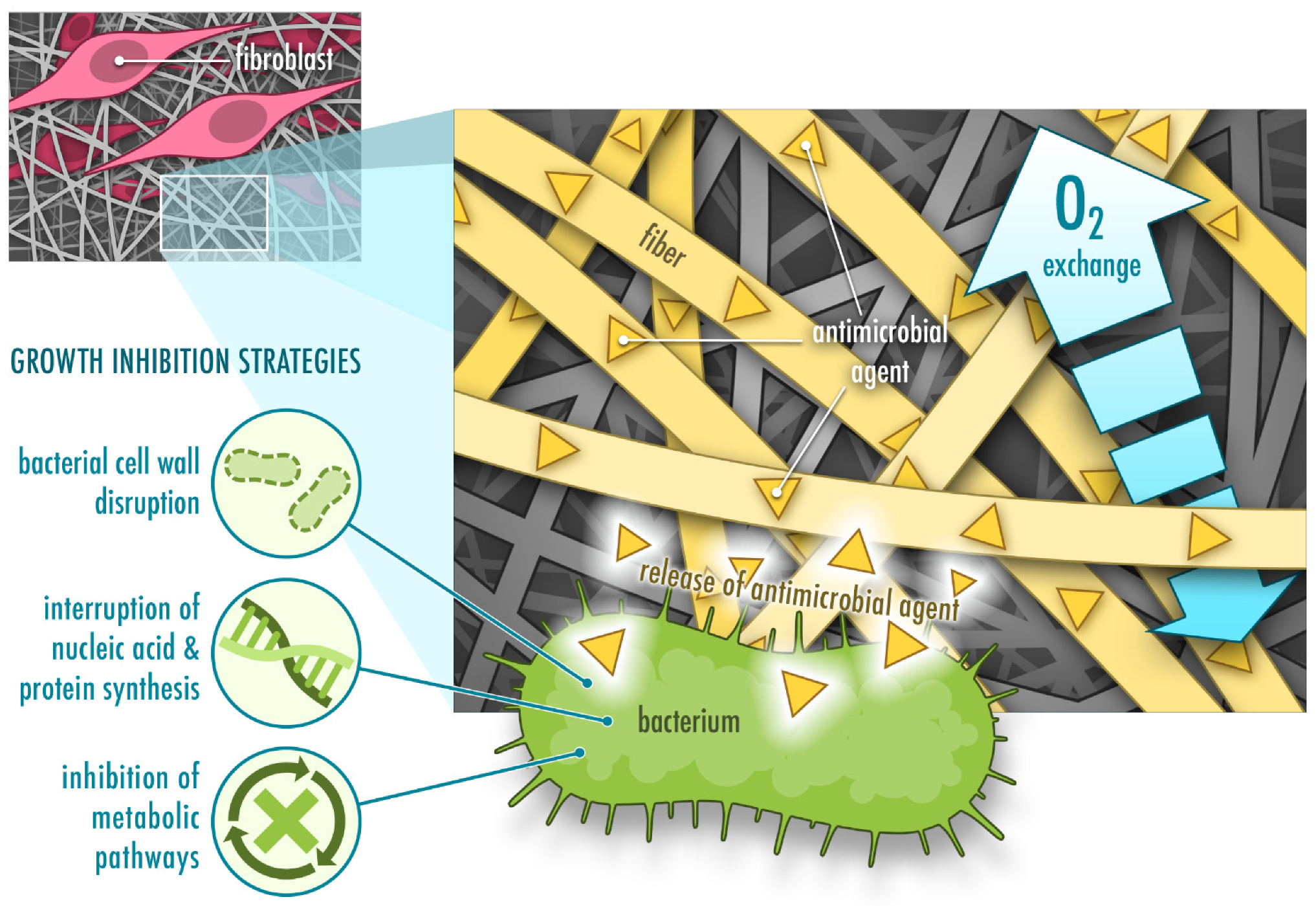 Pharmaceutics 13 00004 g001 Pharmaceutics 13 00004 g001