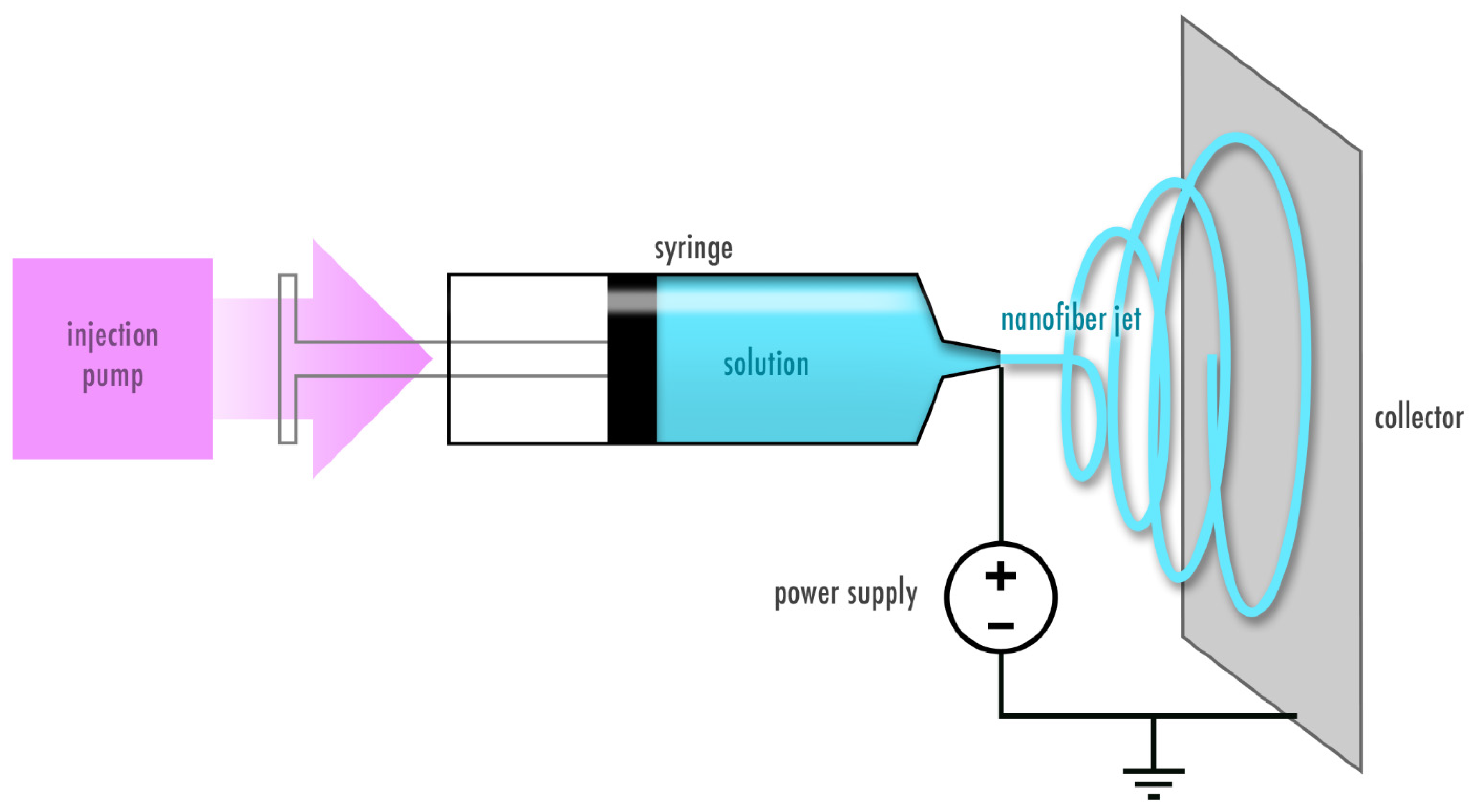 Pharmaceutics Free Full Text Electrospinning Proteins For Wound Healing Purposes Opportunities And Challenges Html