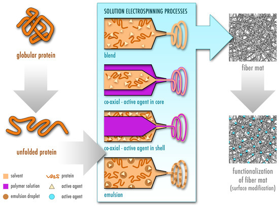 Pharmaceutics 13 00004 g003 550