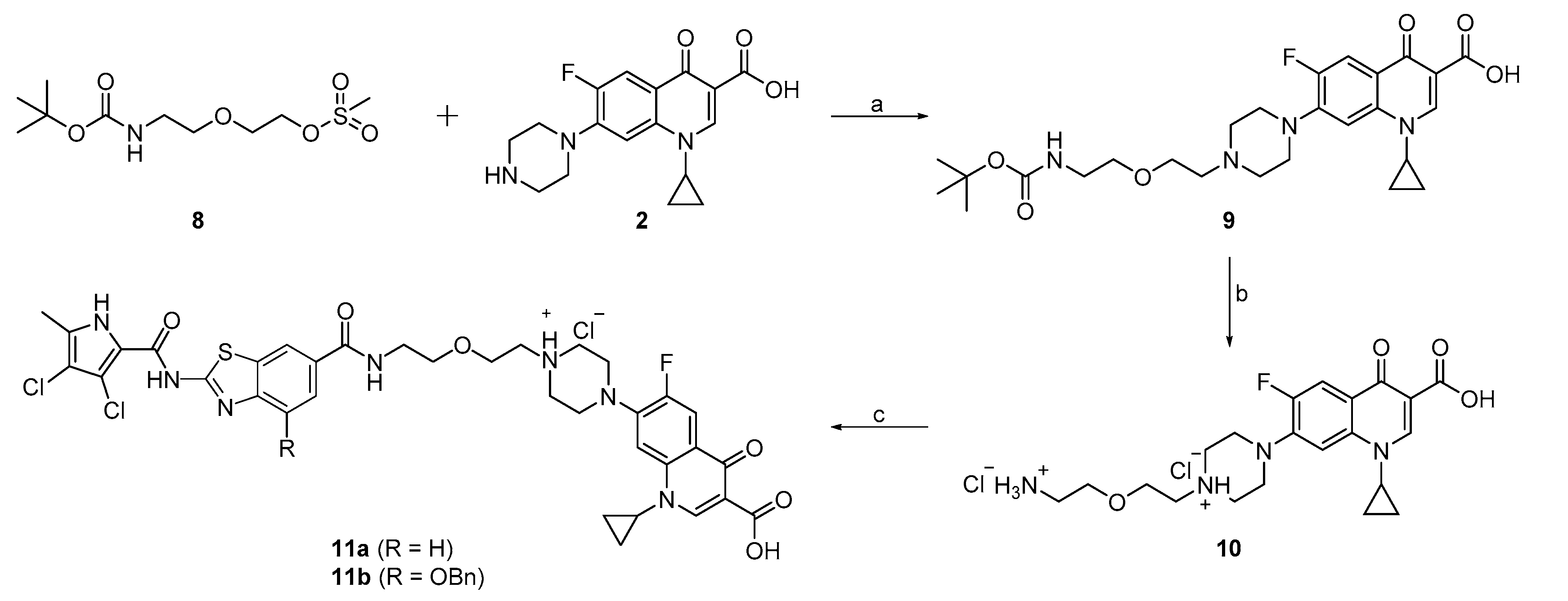 Pharmaceutics 13 00006 sch003