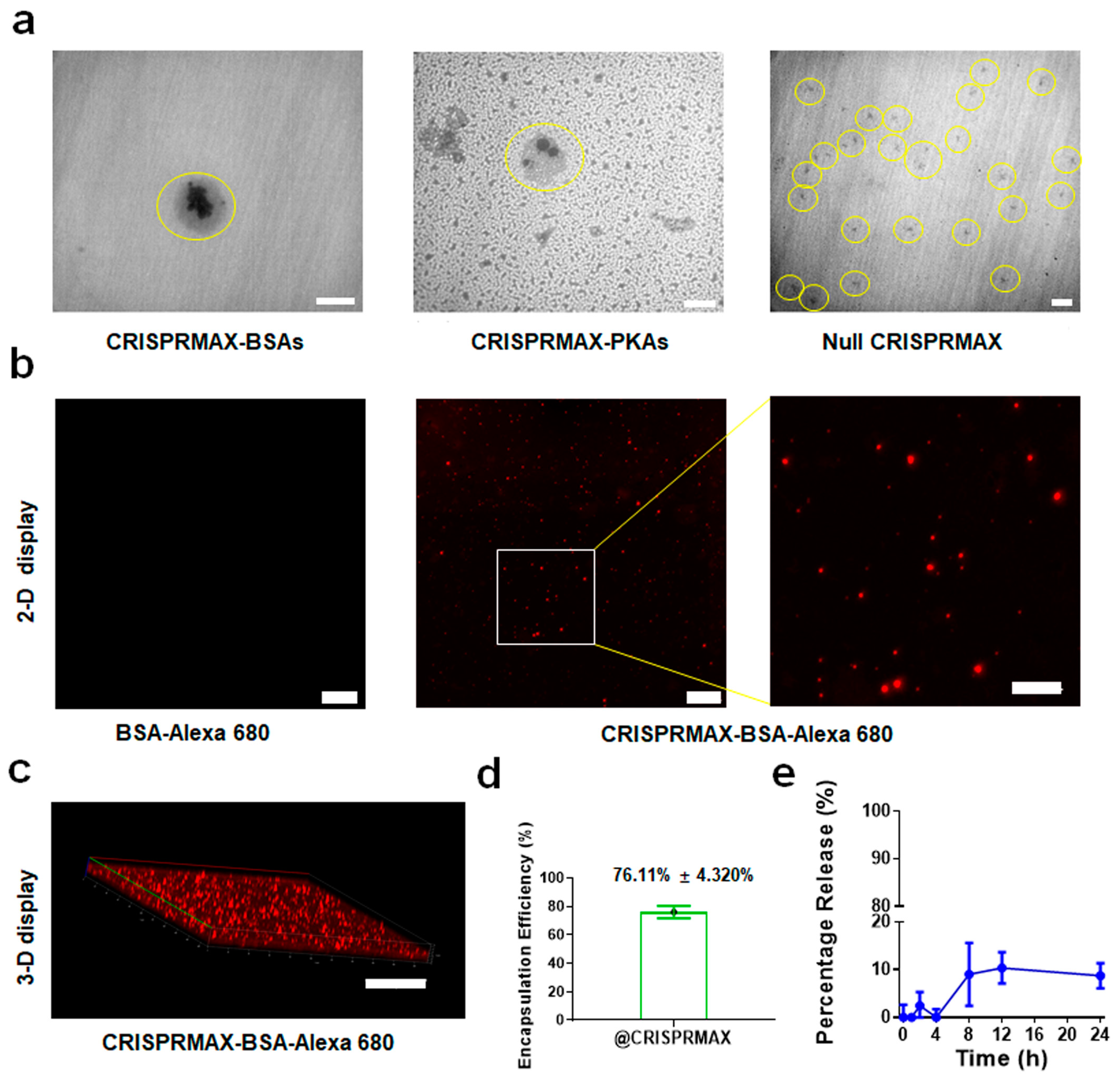 Pharmaceutics 13 00011 g001