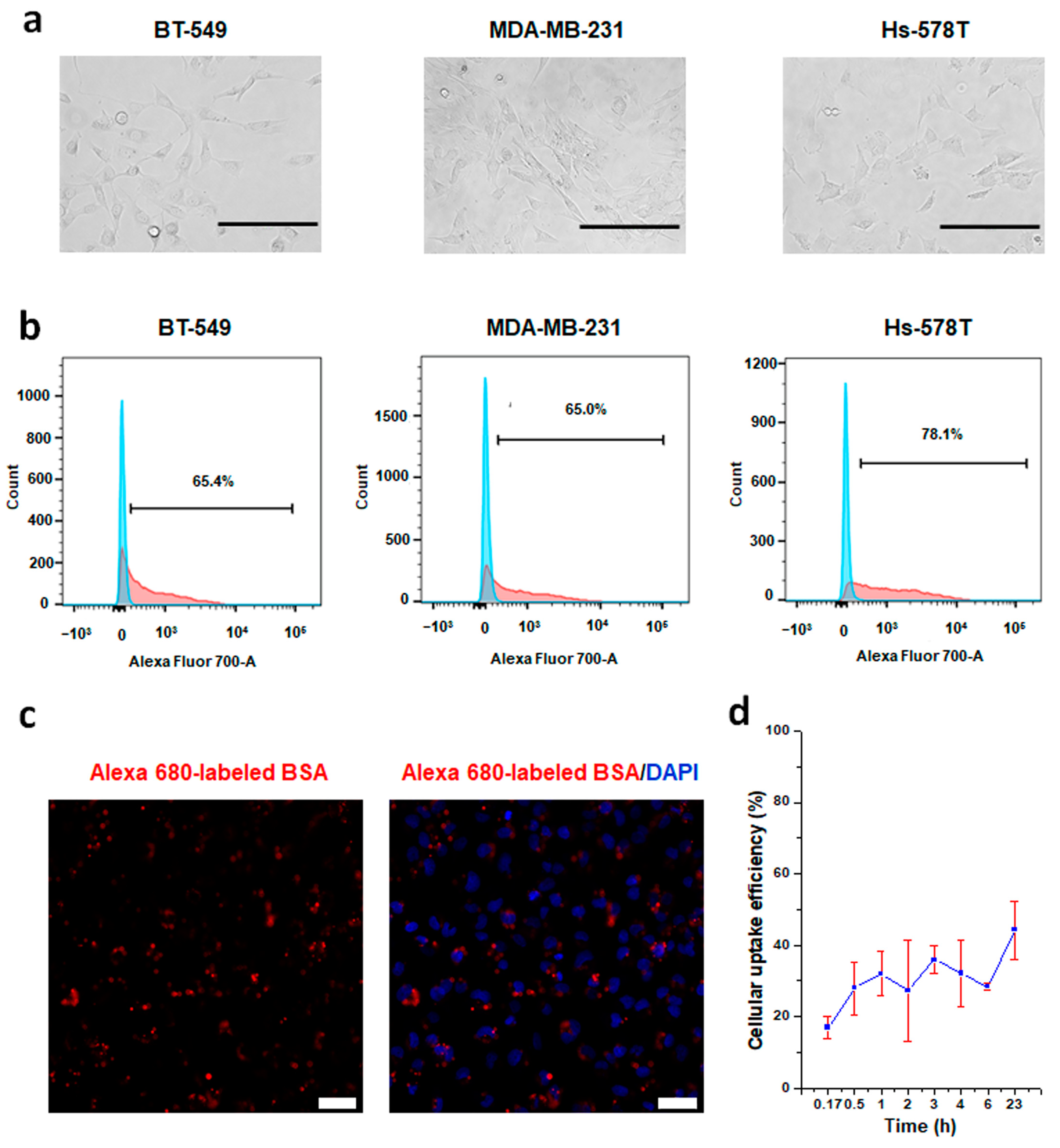 Pharmaceutics 13 00011 g002