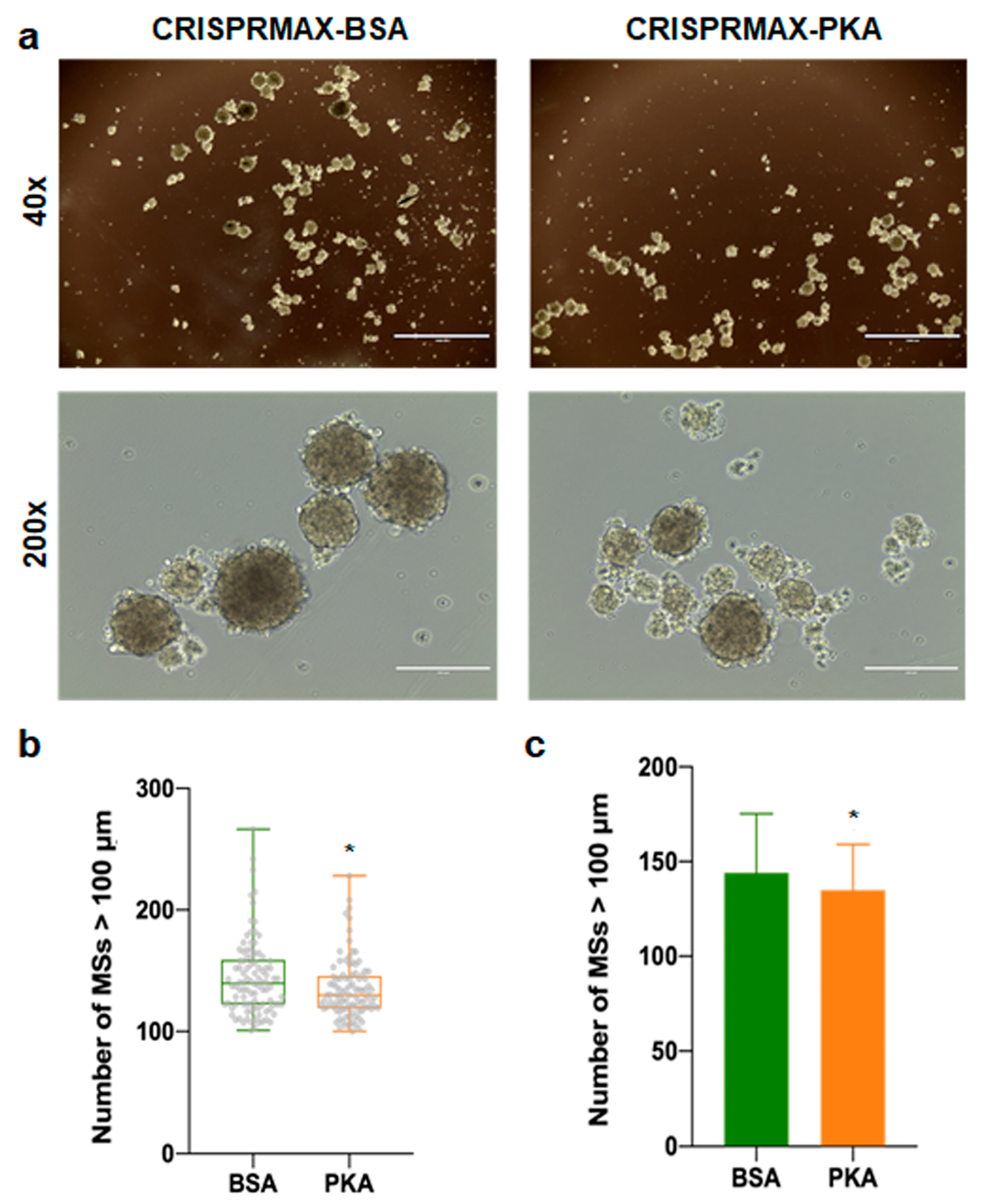 Pharmaceutics 13 00011 g006