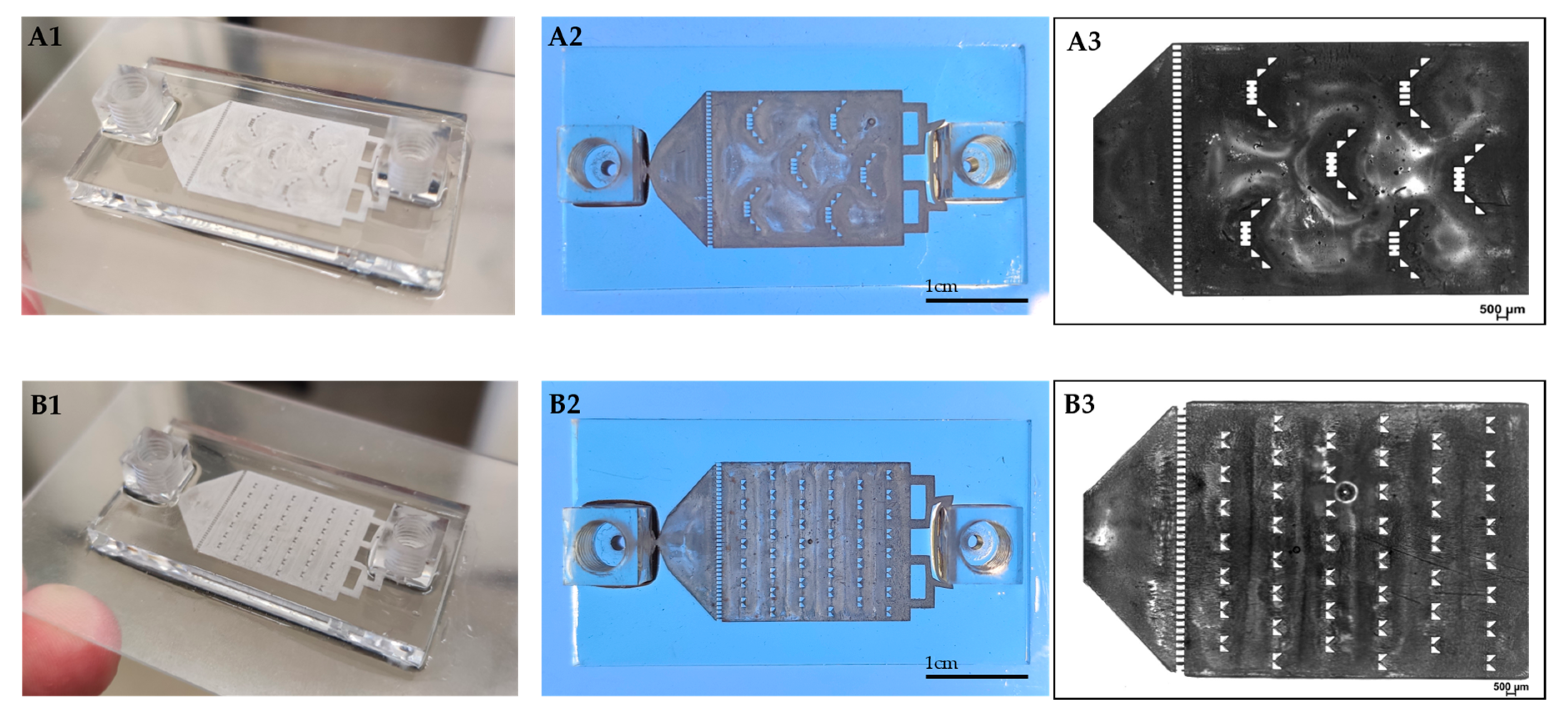 Pharmaceutics 13 00013 g002