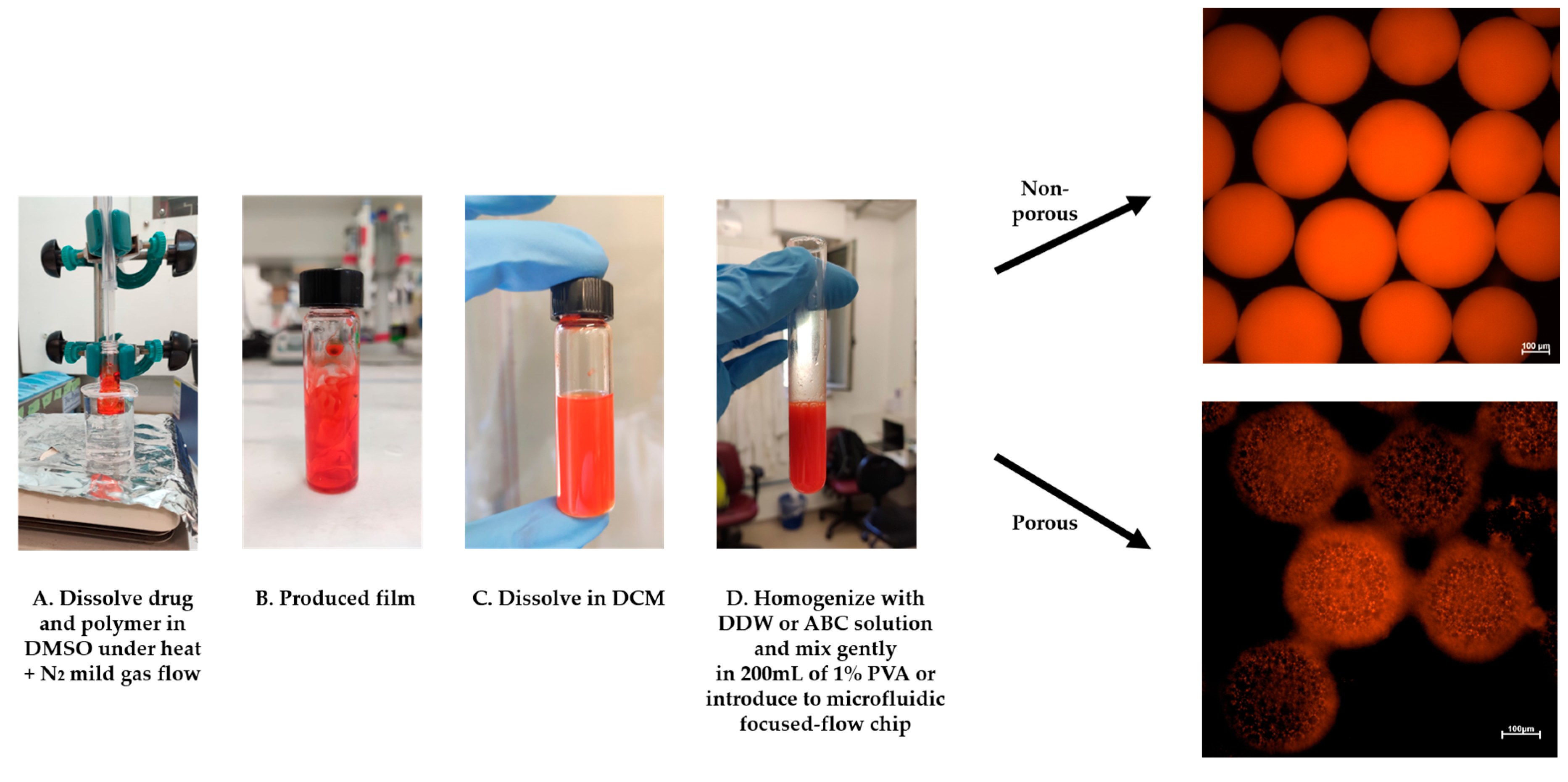 Pharmaceutics 13 00013 g003