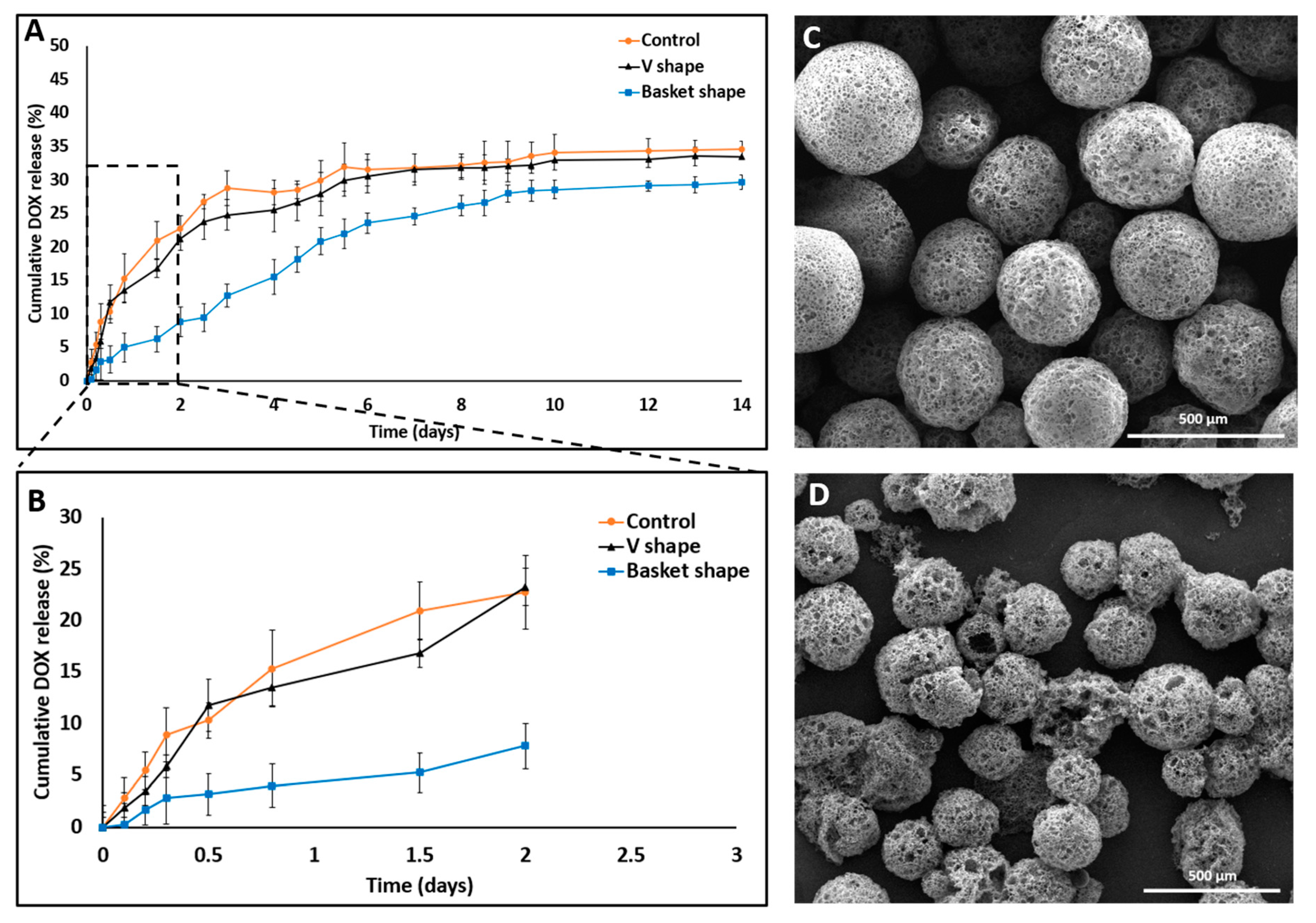 Pharmaceutics 13 00013 g005