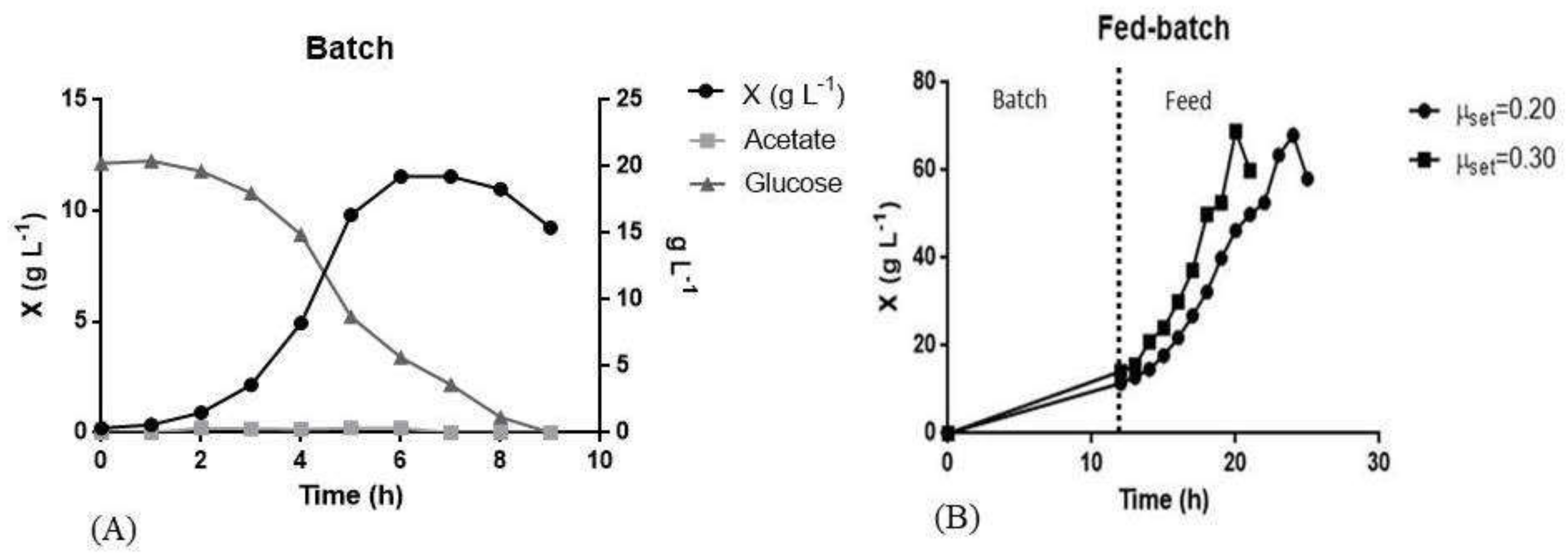 Pharmaceutics 13 00014 g003 Pharmaceutics 13 00014 g003