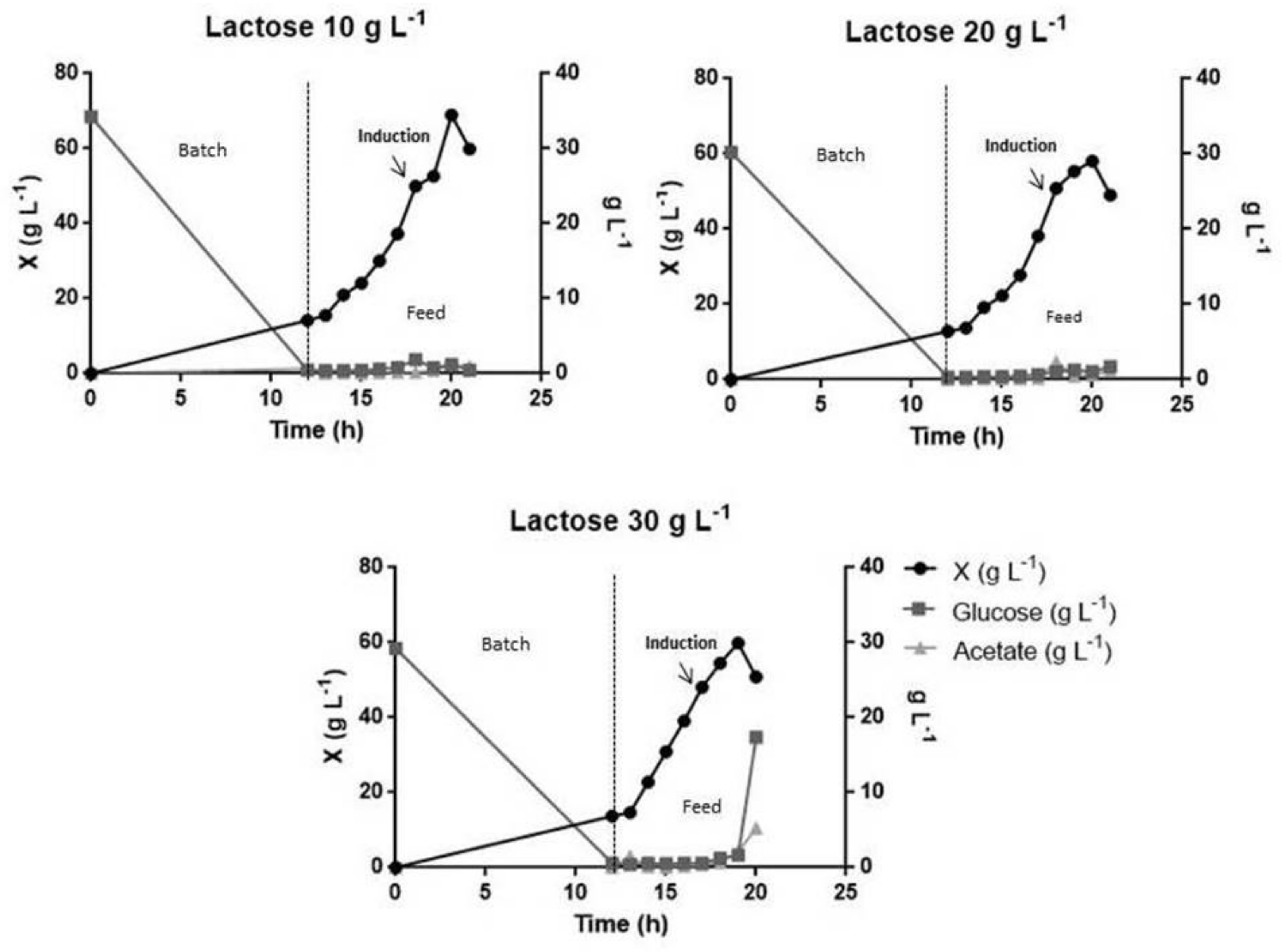 Pharmaceutics 13 00014 g005 Pharmaceutics 13 00014 g005