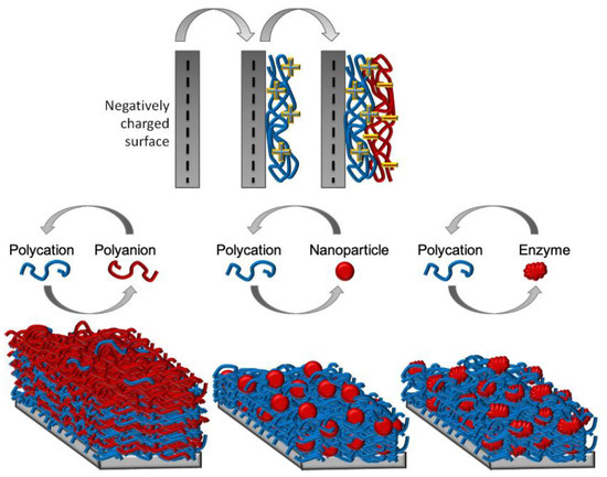 Layer-by-Layer Coatings of Collagen–Hyaluronic acid Loaded with an