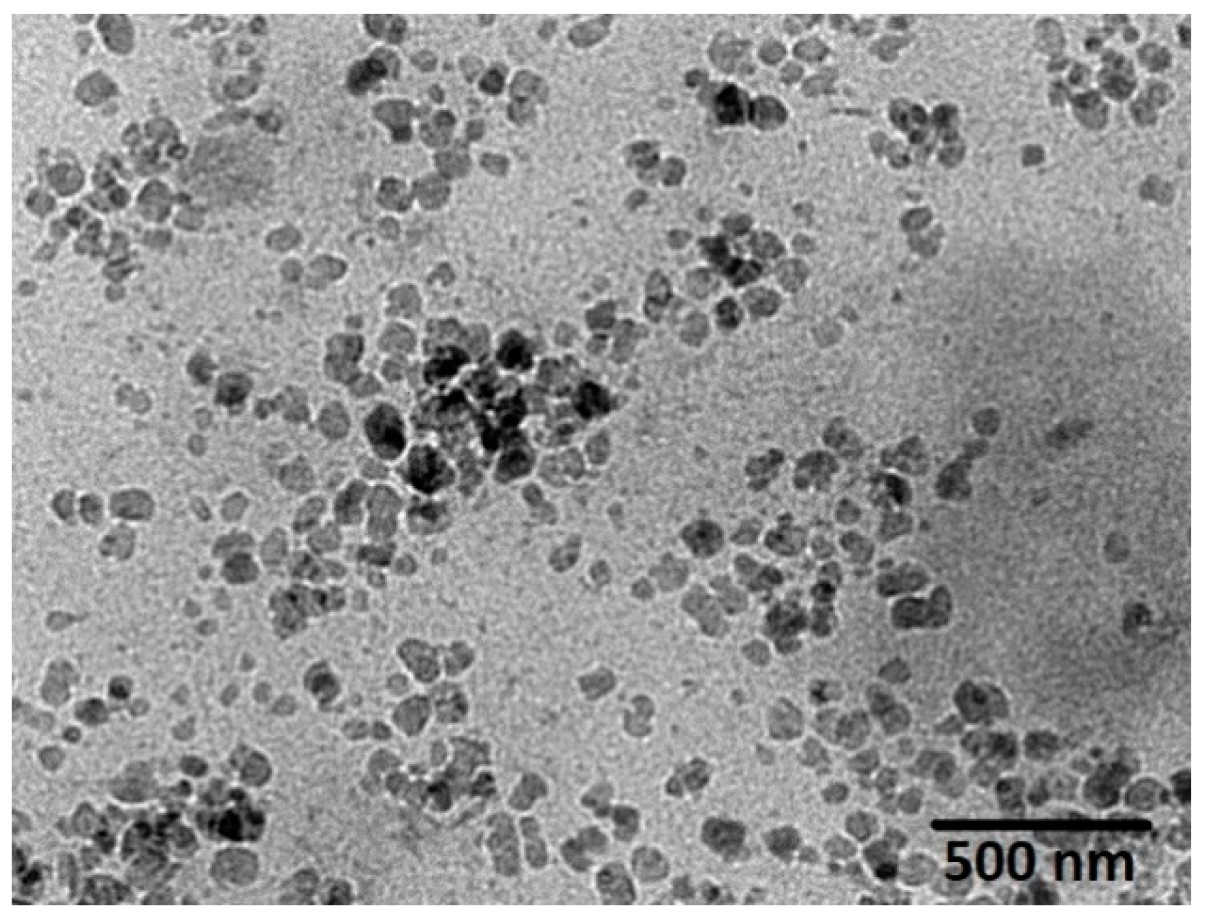 Pharmaceutics 13 00020 g006