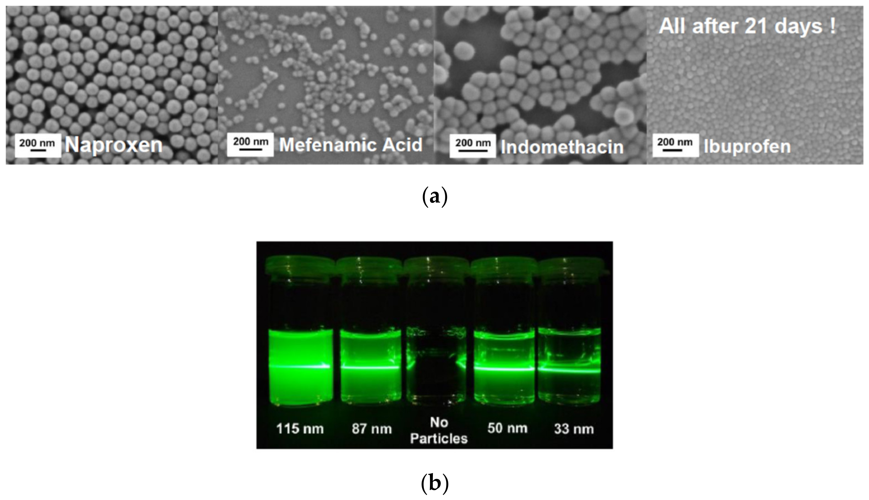 Pharmaceutics 13 00022 g007