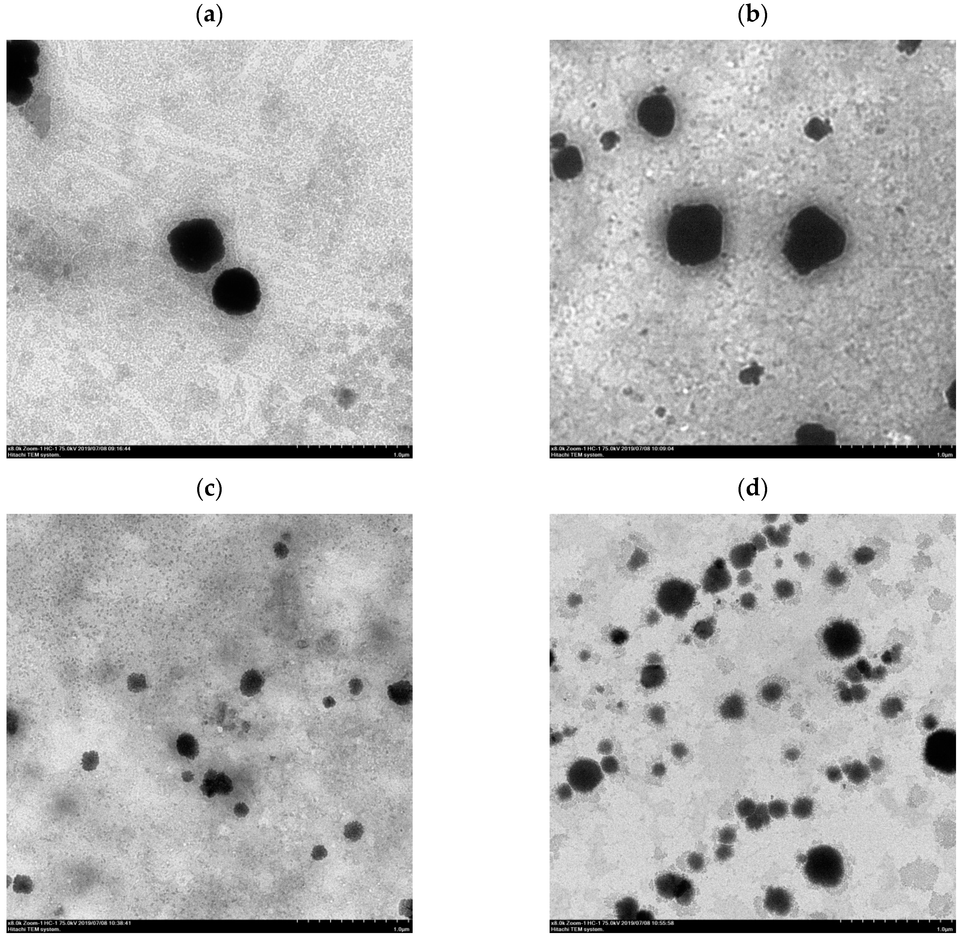 Pharmaceutics 13 00023 g002a Pharmaceutics 13 00023 g002a