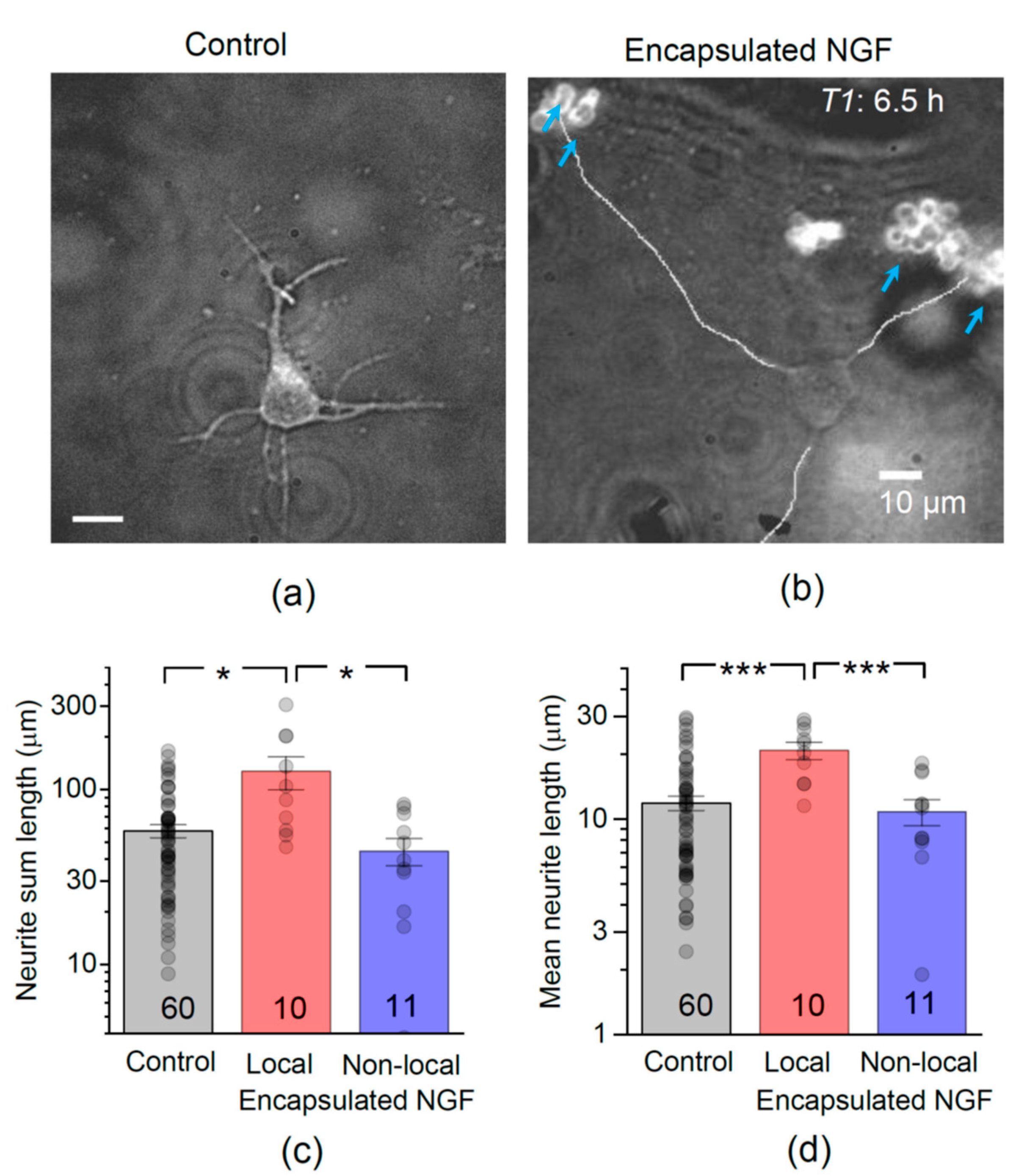 Pharmaceutics 13 00025 g002 Pharmaceutics 13 00025 g002