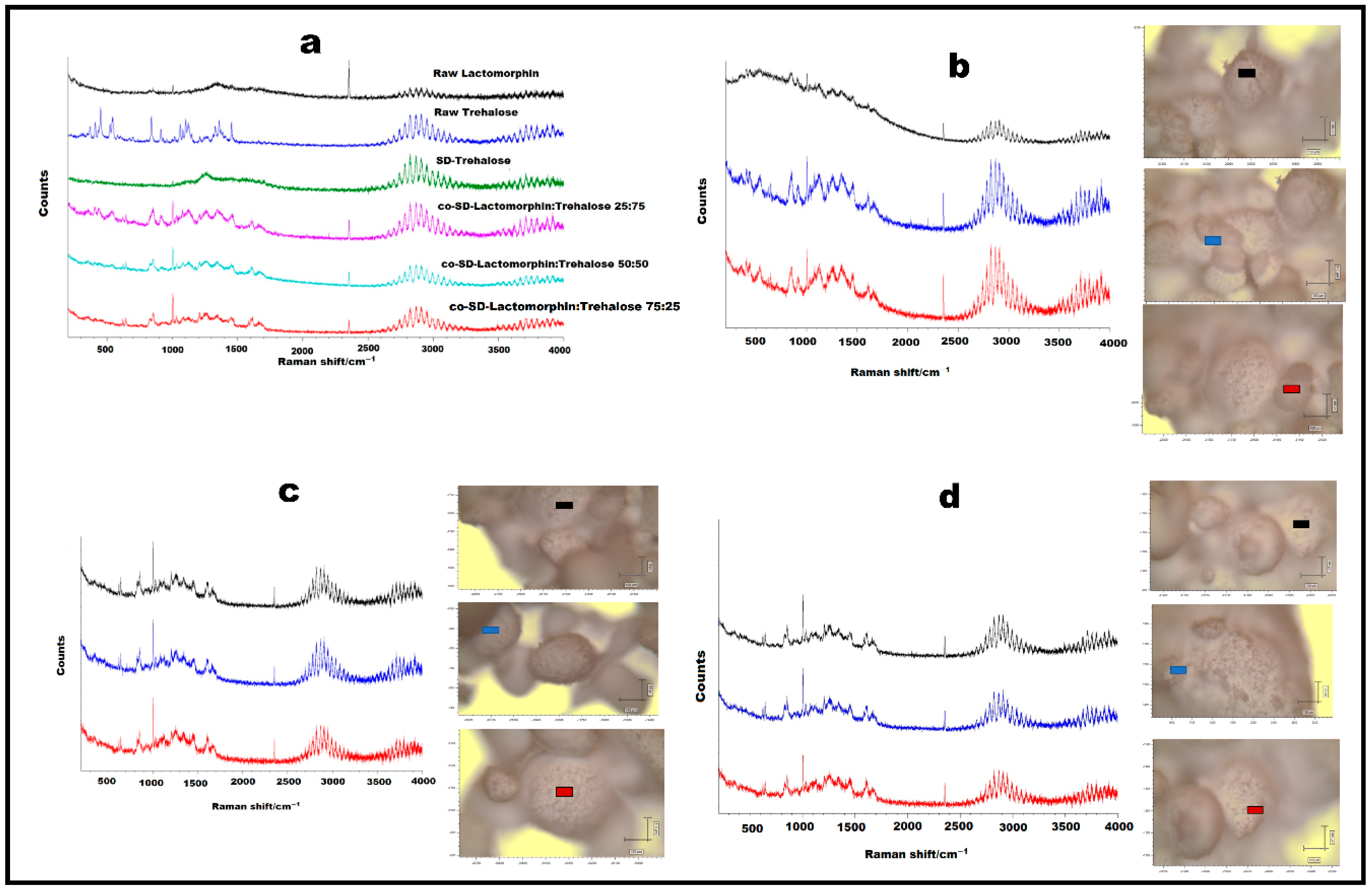 Pharmaceutics 13 00026 g007