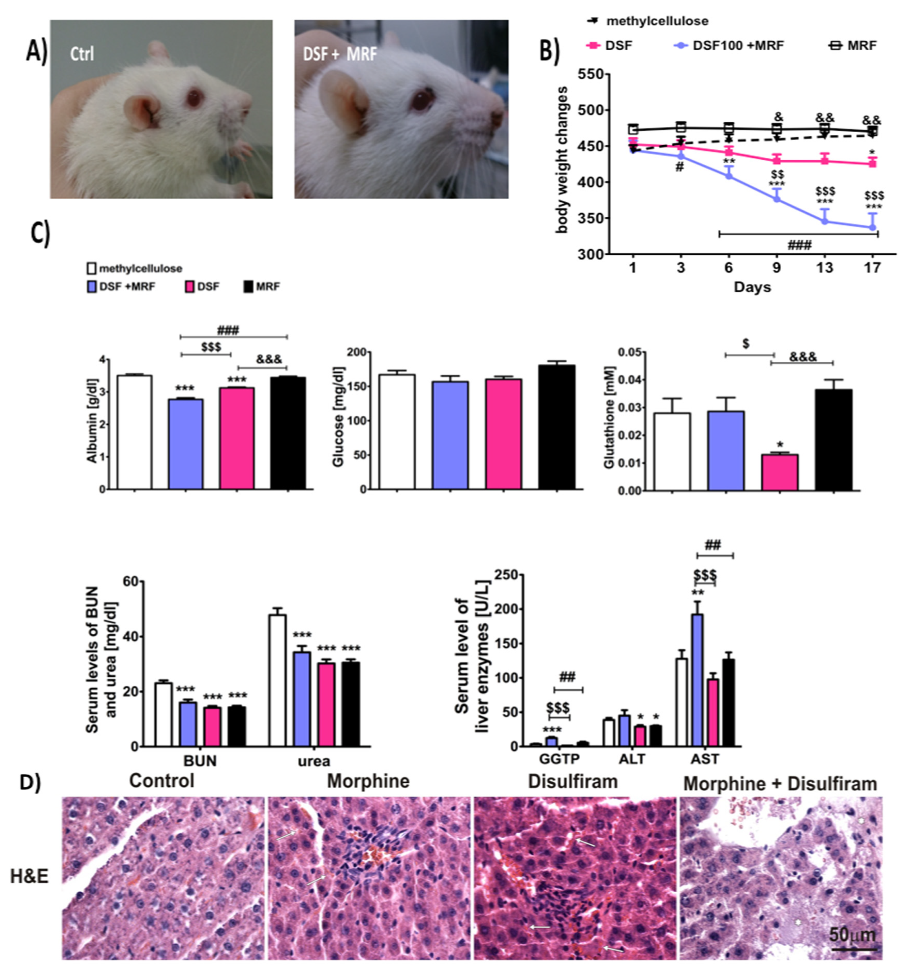 Pharmaceutics 13 00029 g006 Pharmaceutics 13 00029 g006