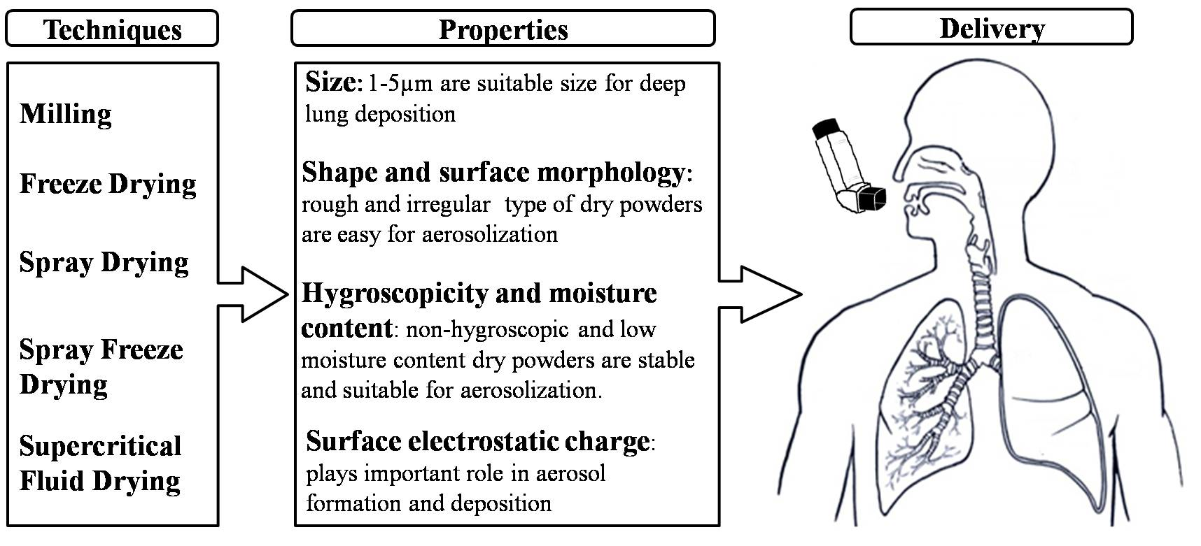 Pharmaceutics Free FullText Dry Powder for Pulmonary Delivery A