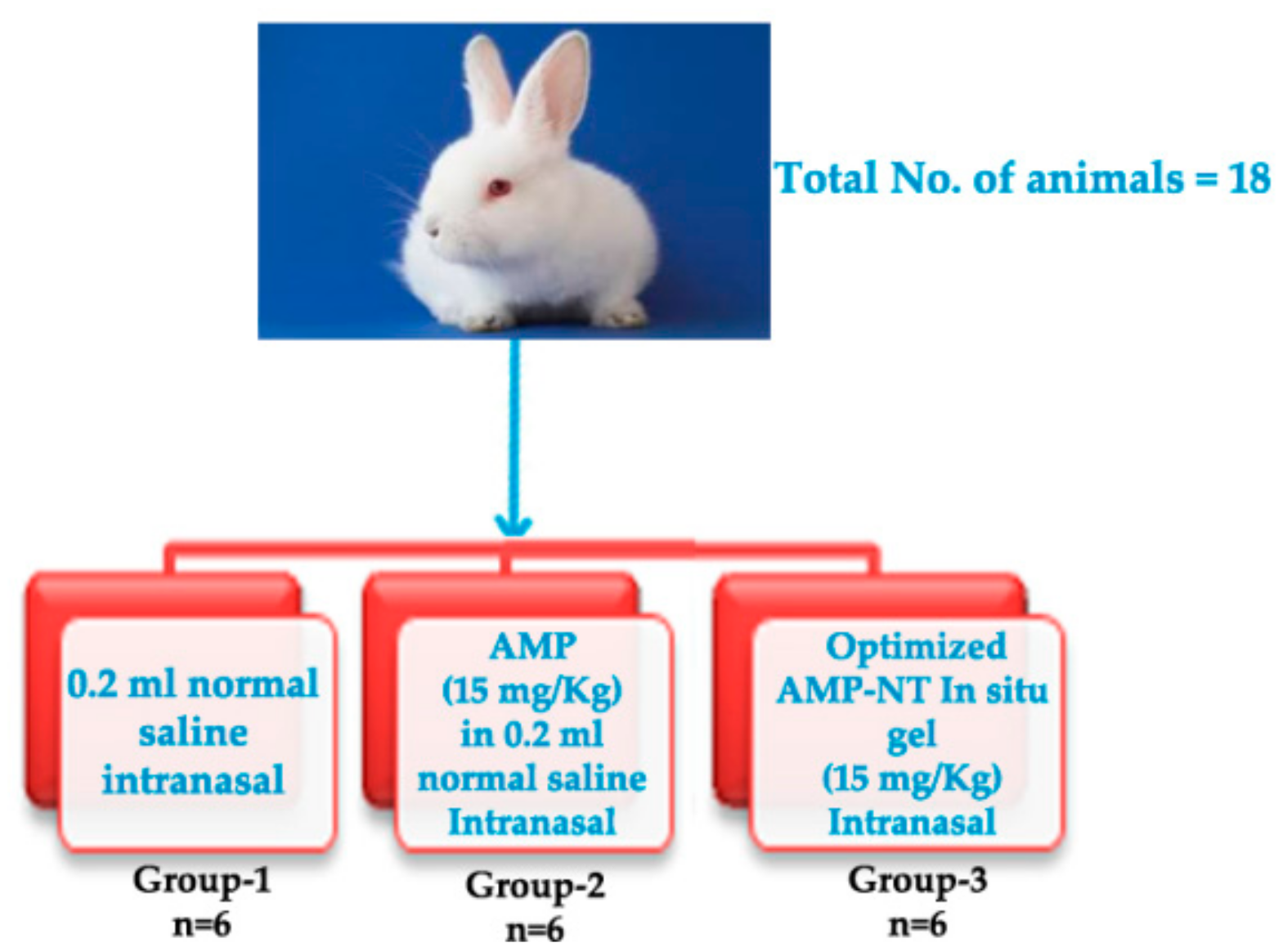 Pharmaceutics 13 00035 g001 Pharmaceutics 13 00035 g001