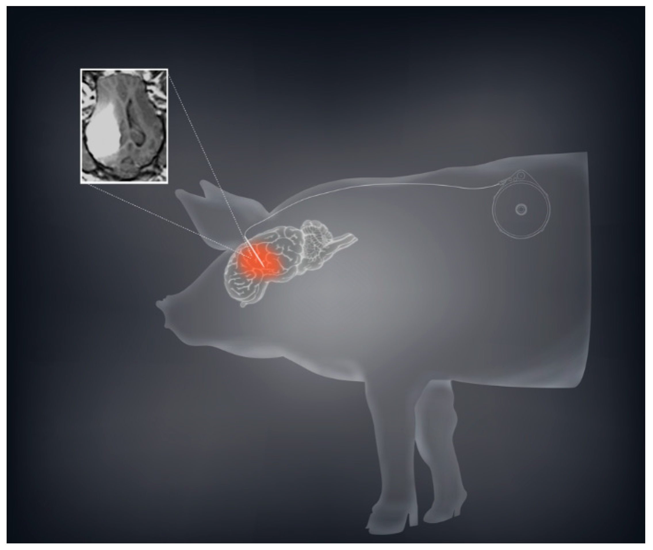 Pharmaceutics 13 00039 g002 Pharmaceutics 13 00039 g002