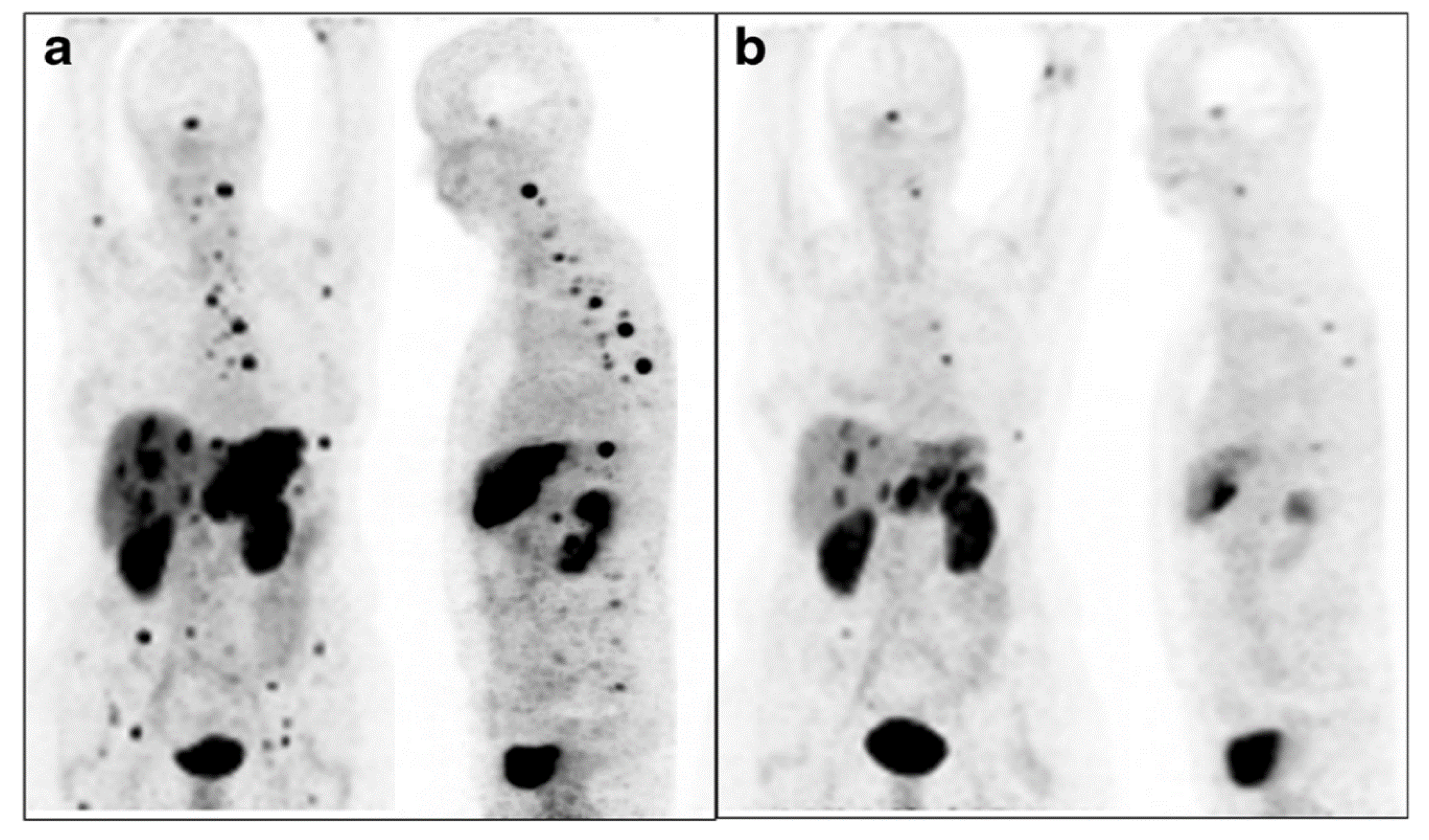 Pharmaceutics 13 00049 g008 Pharmaceutics 13 00049 g008