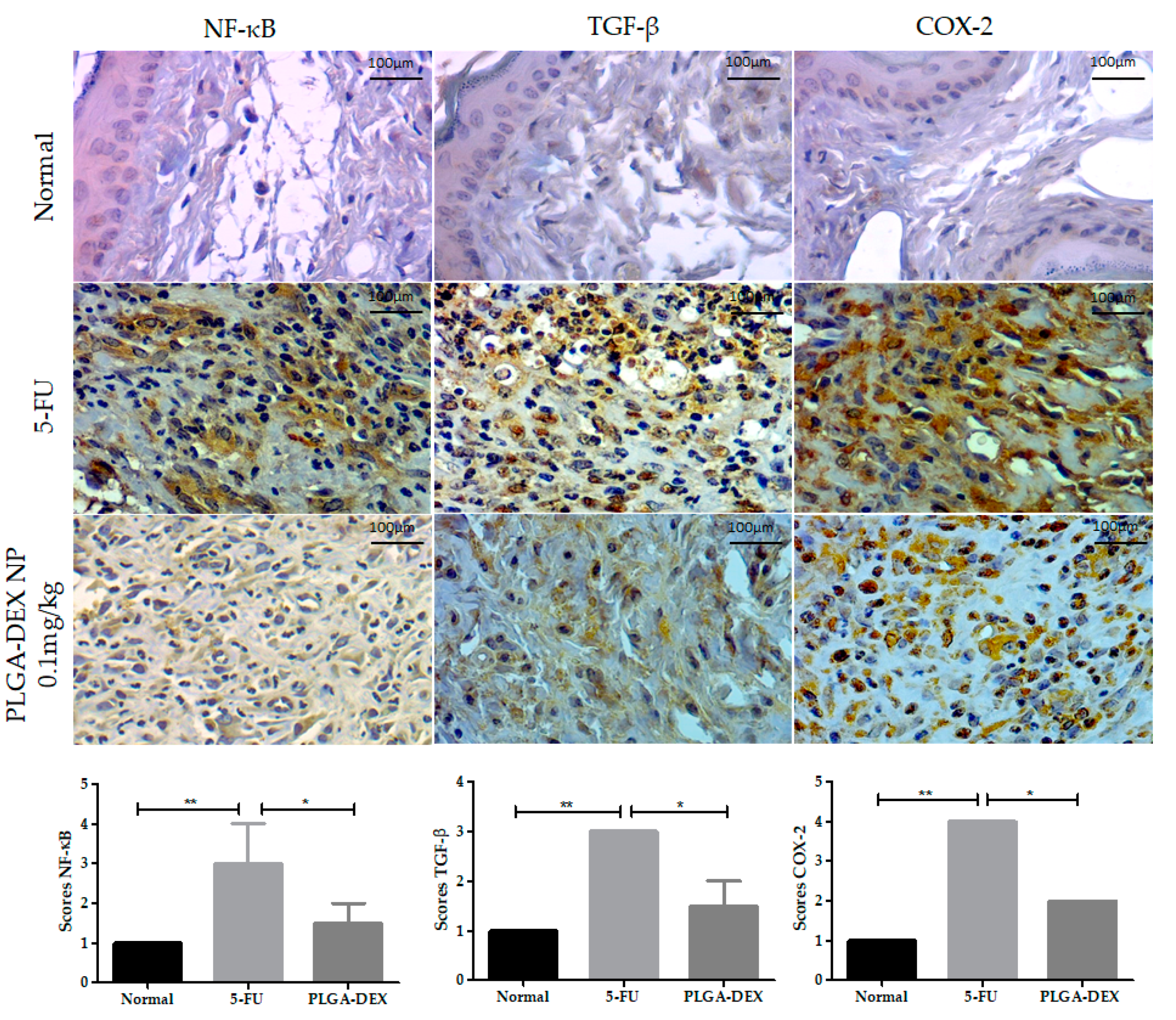 Pharmaceutics 13 00053 g005 Pharmaceutics 13 00053 g005