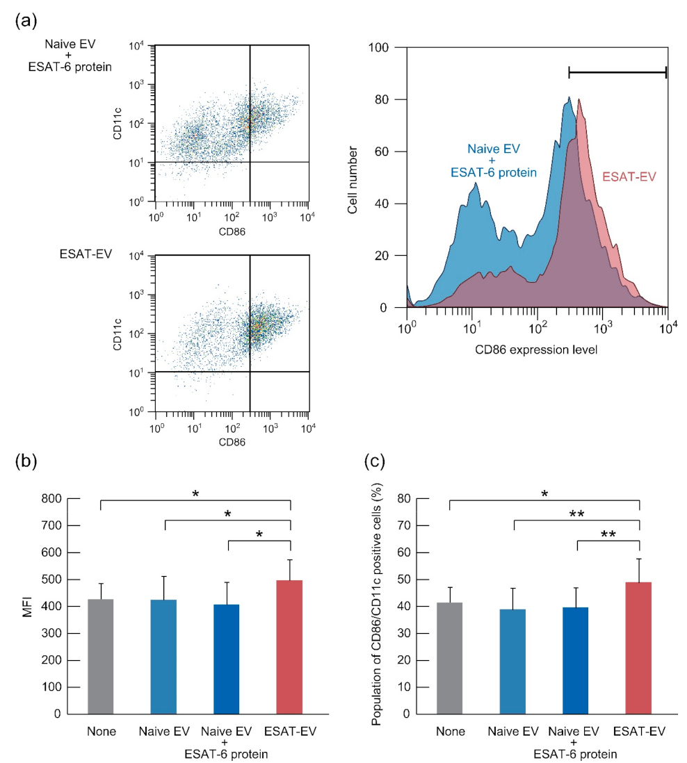 Pharmaceutics 13 00057 g005