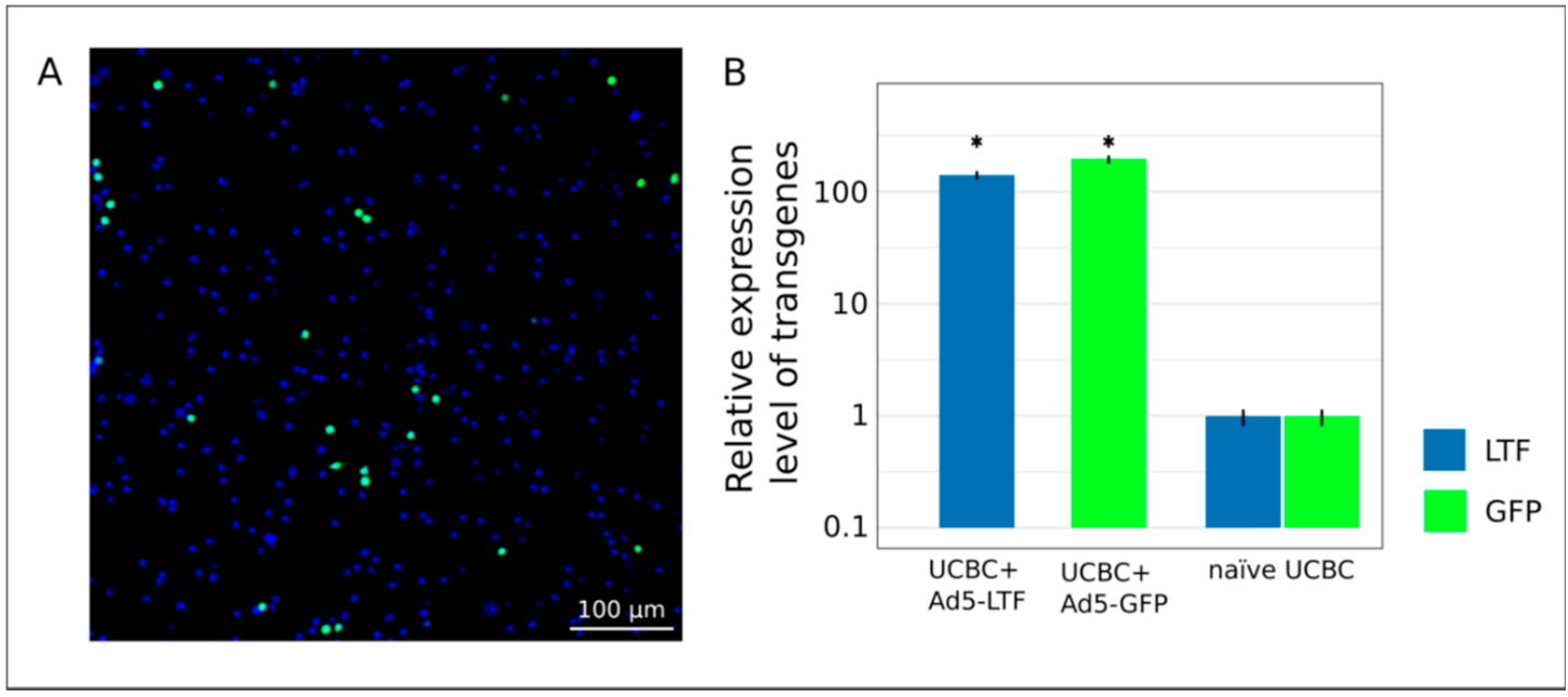 Pharmaceutics 13 00058 g002 Pharmaceutics 13 00058 g002