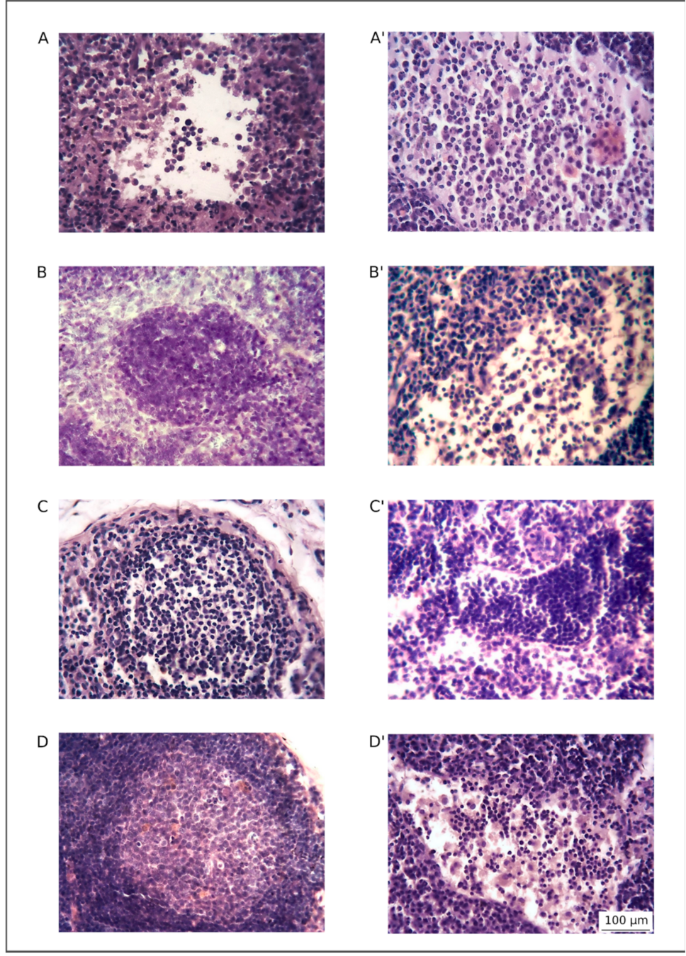 Pharmaceutics 13 00058 g004 Pharmaceutics 13 00058 g004