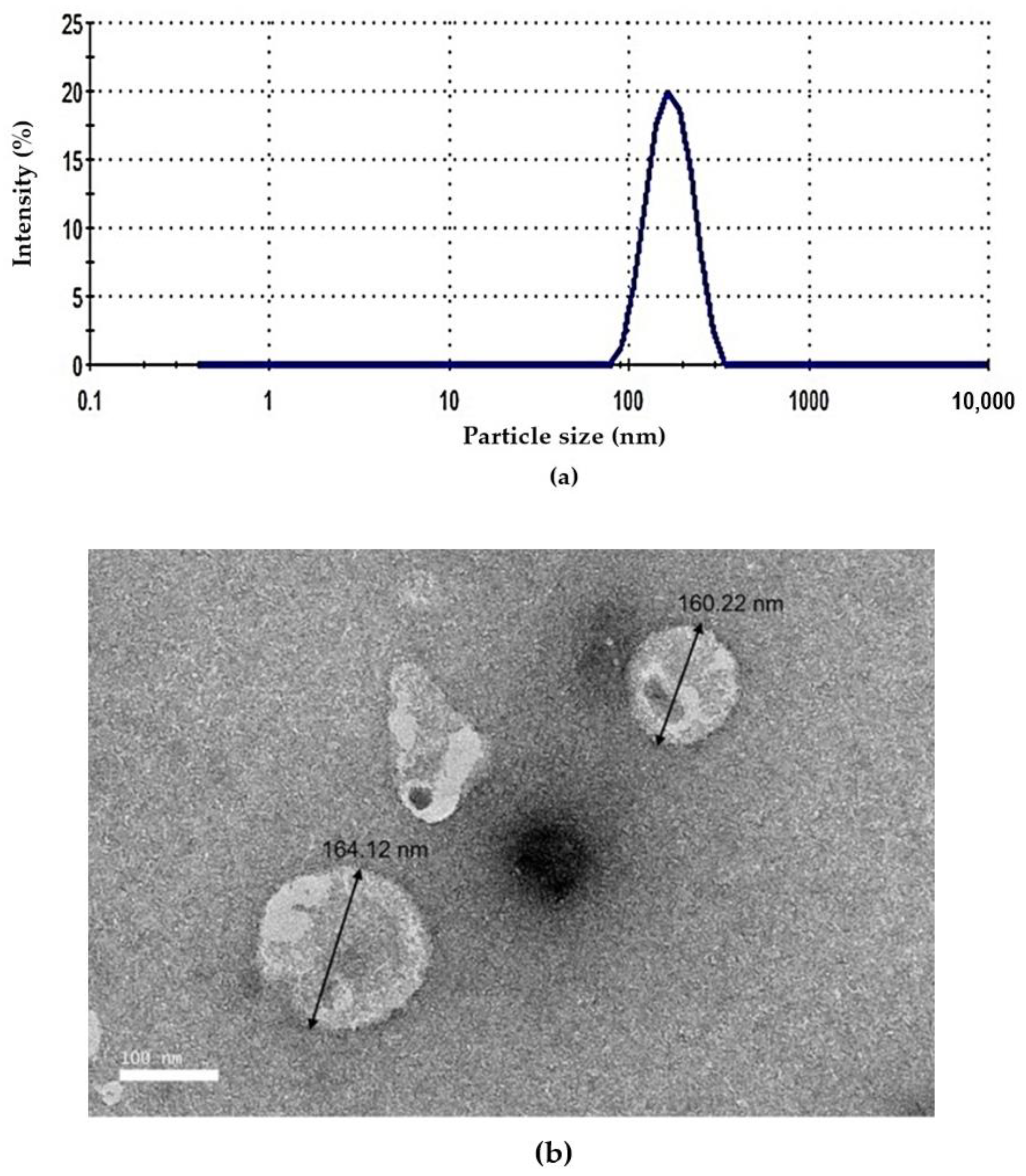 Pharmaceutics 13 00059 g002