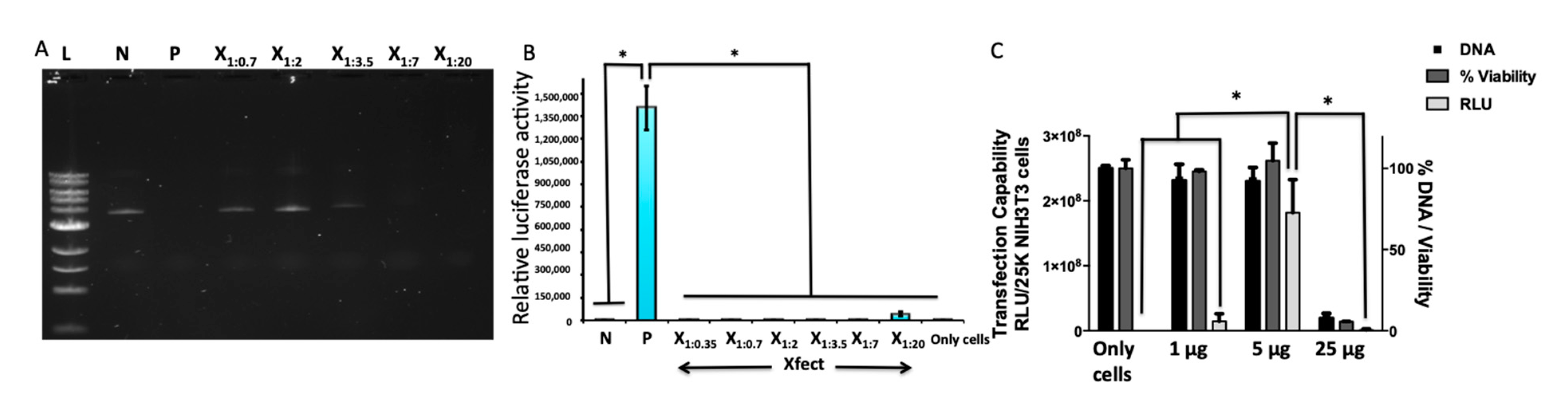 Pharmaceutics 13 00062 g003